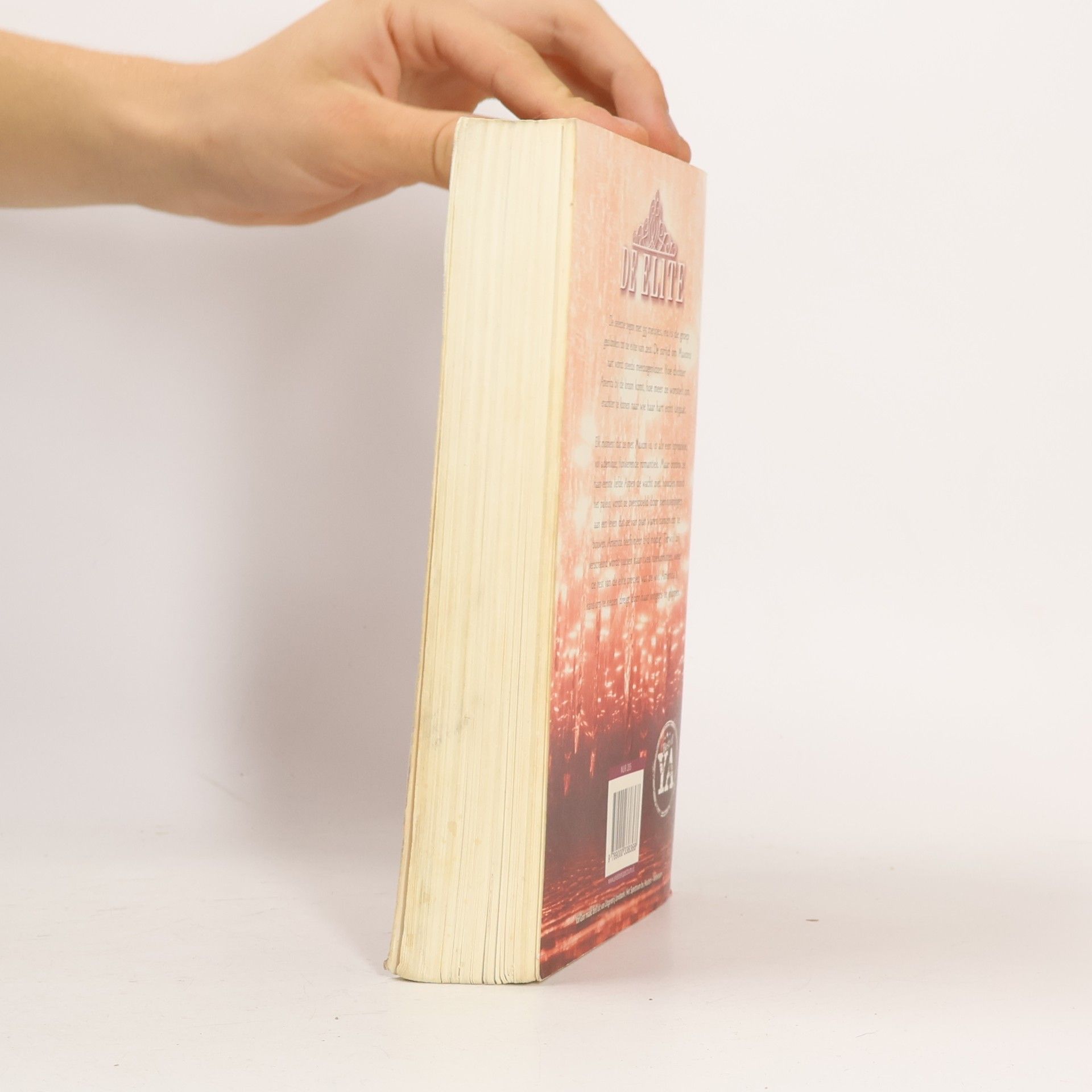 Hanneke van Soest Selection-trilogie - 2: De elite