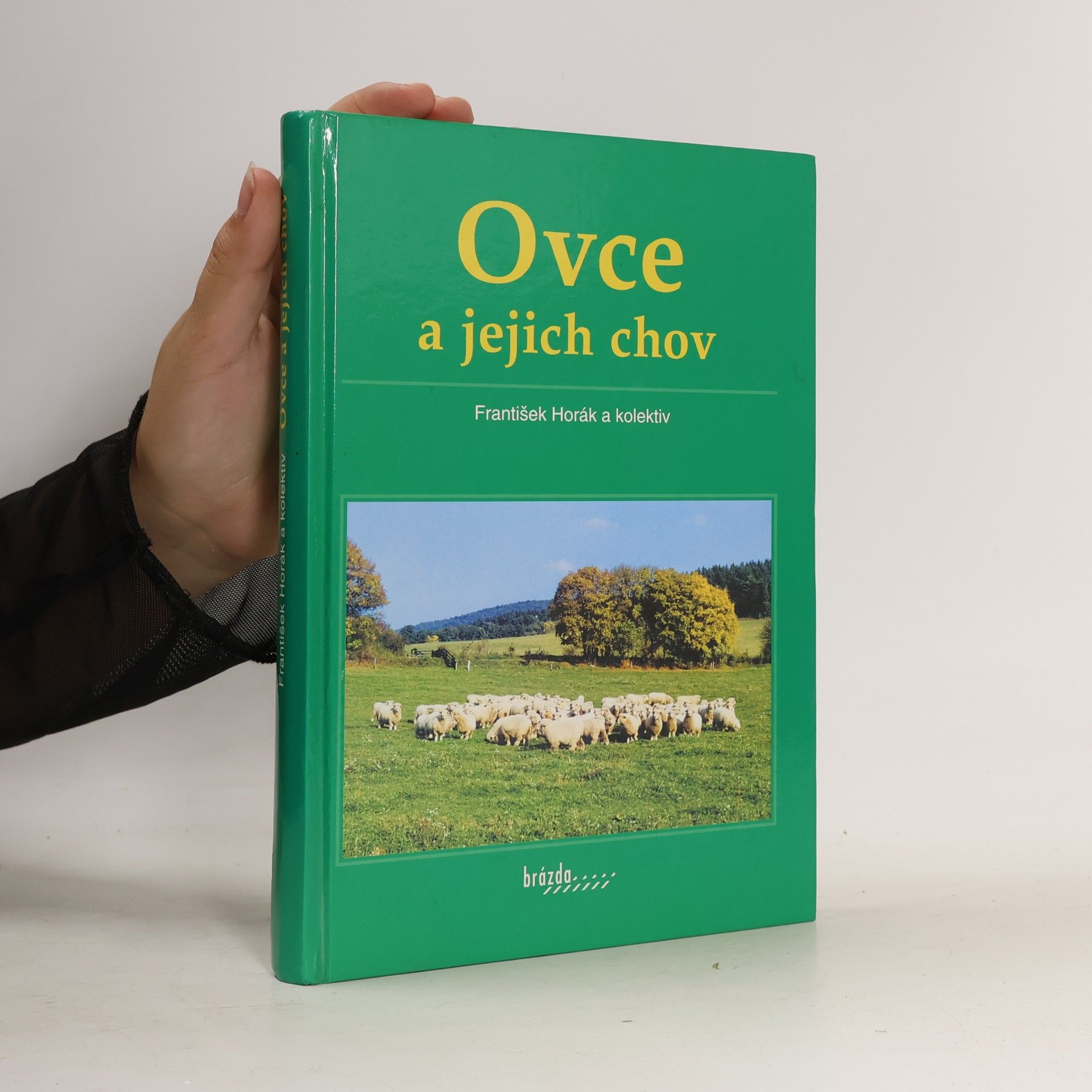 Ovce a jejich chov