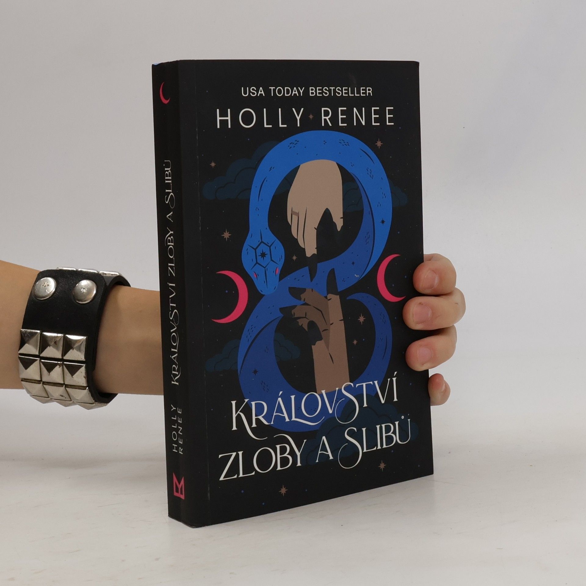 Holly Renee Království Zloby a Slibů