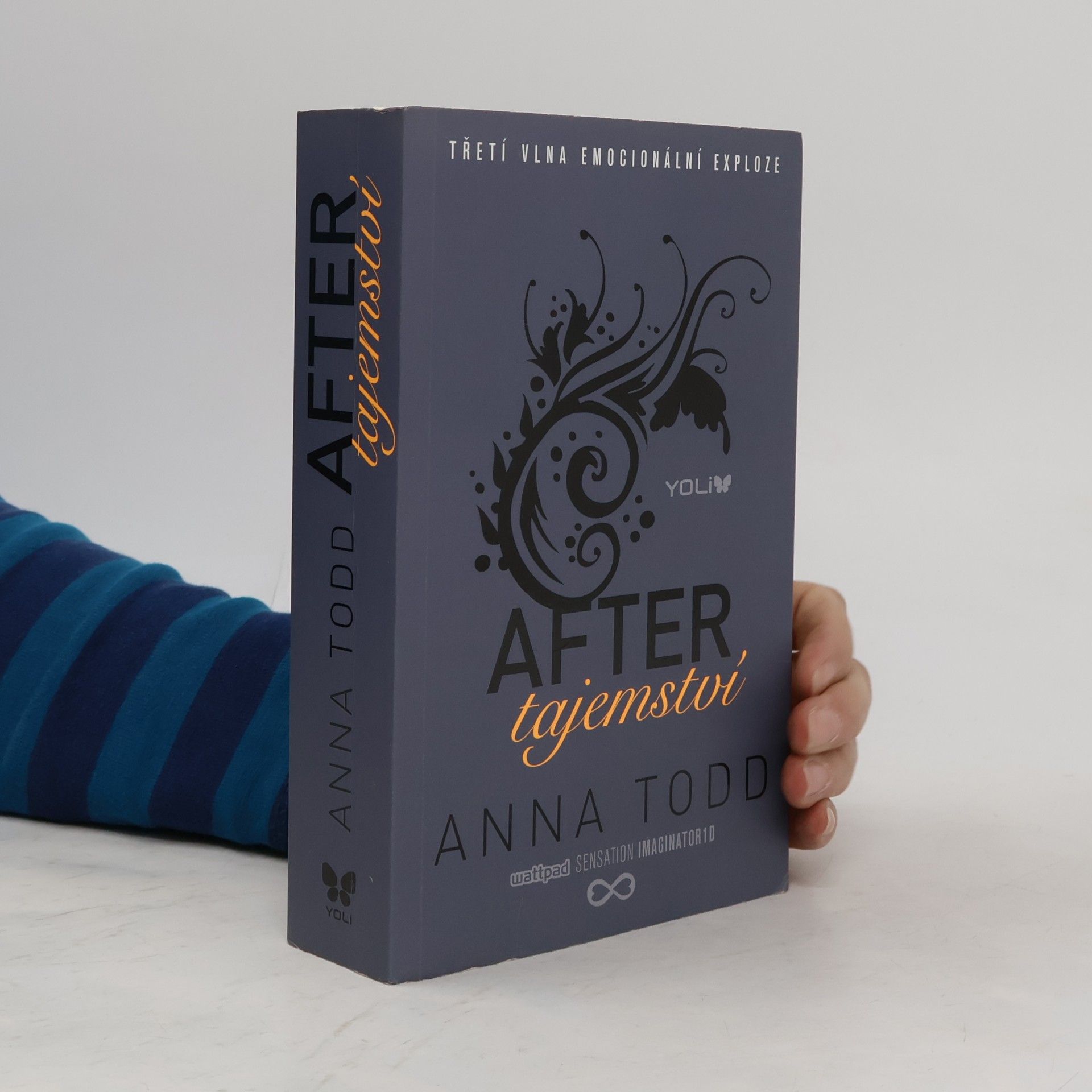 Anna Todd After. Tajemství