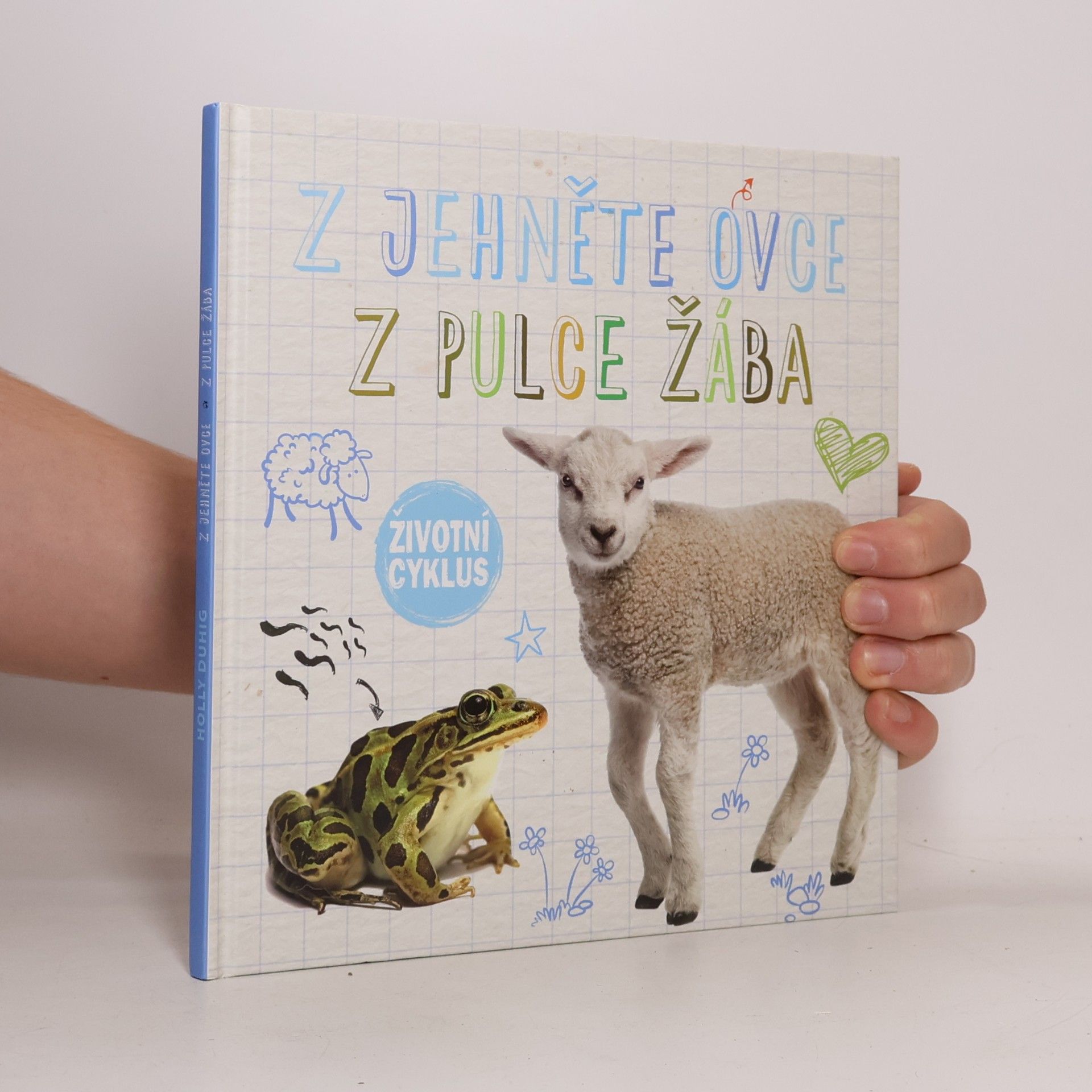 Holly Duhig Z jehněte ovce, z pulce žába