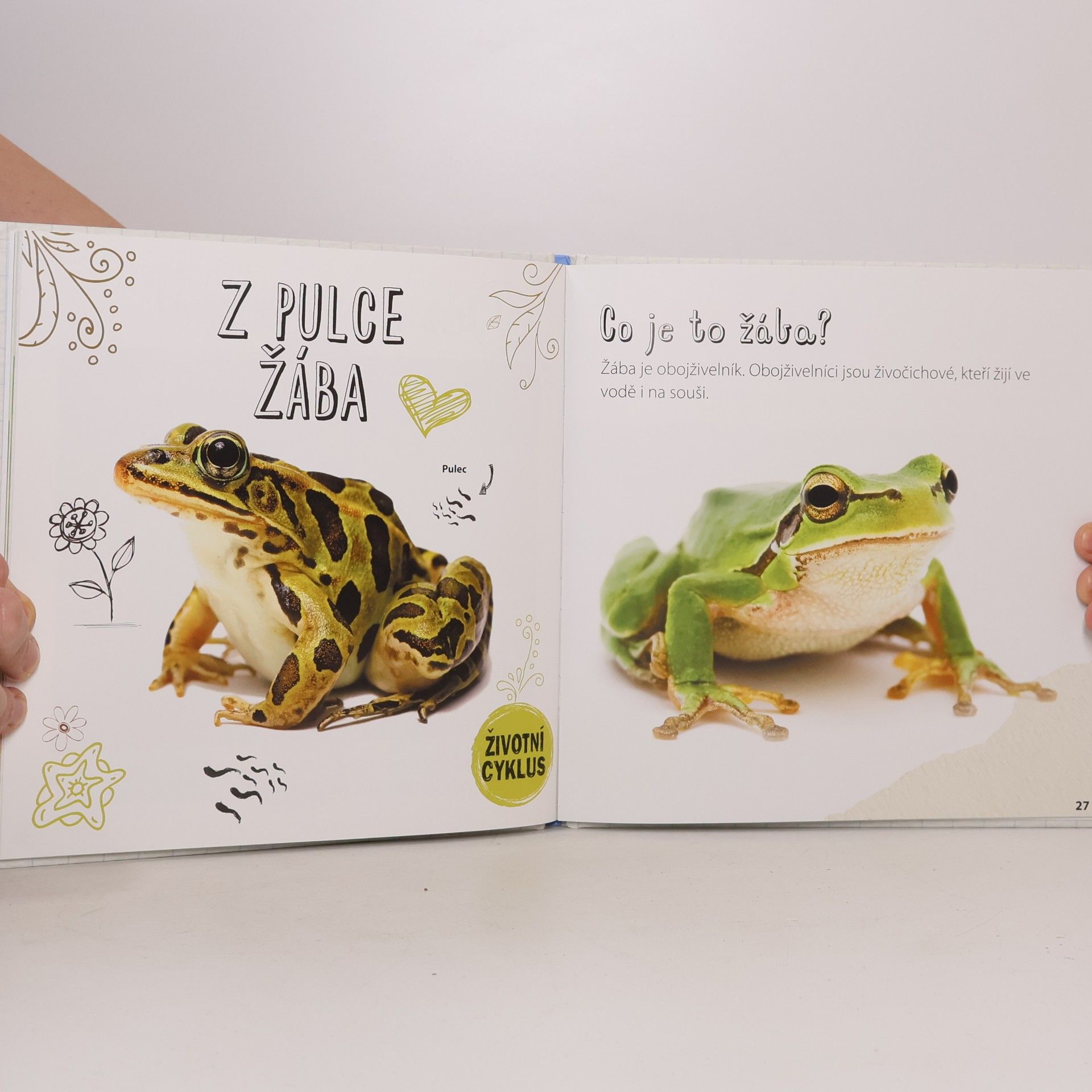 Holly Duhig Z jehněte ovce, z pulce žába