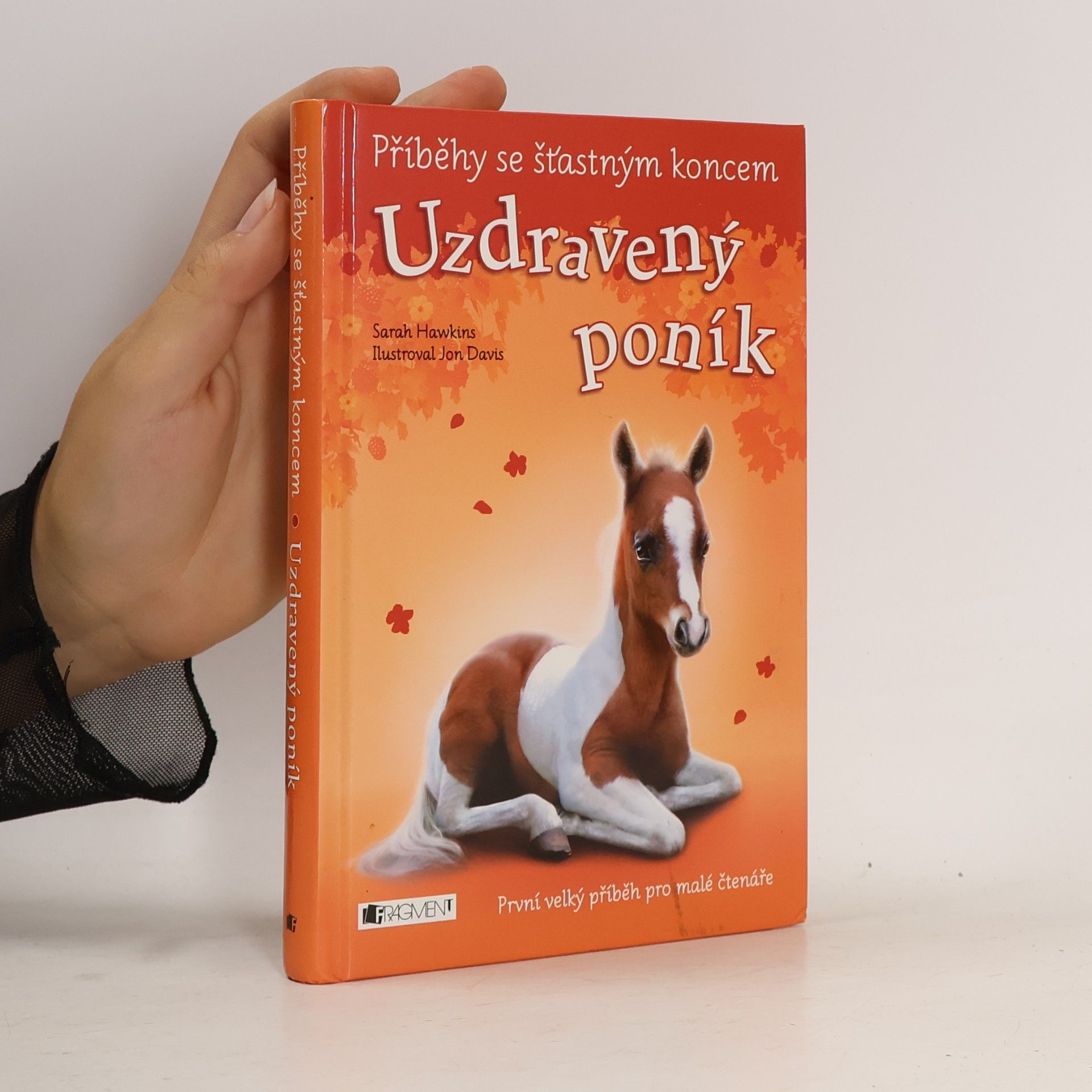Sarah Hawkins Uzdravený poník