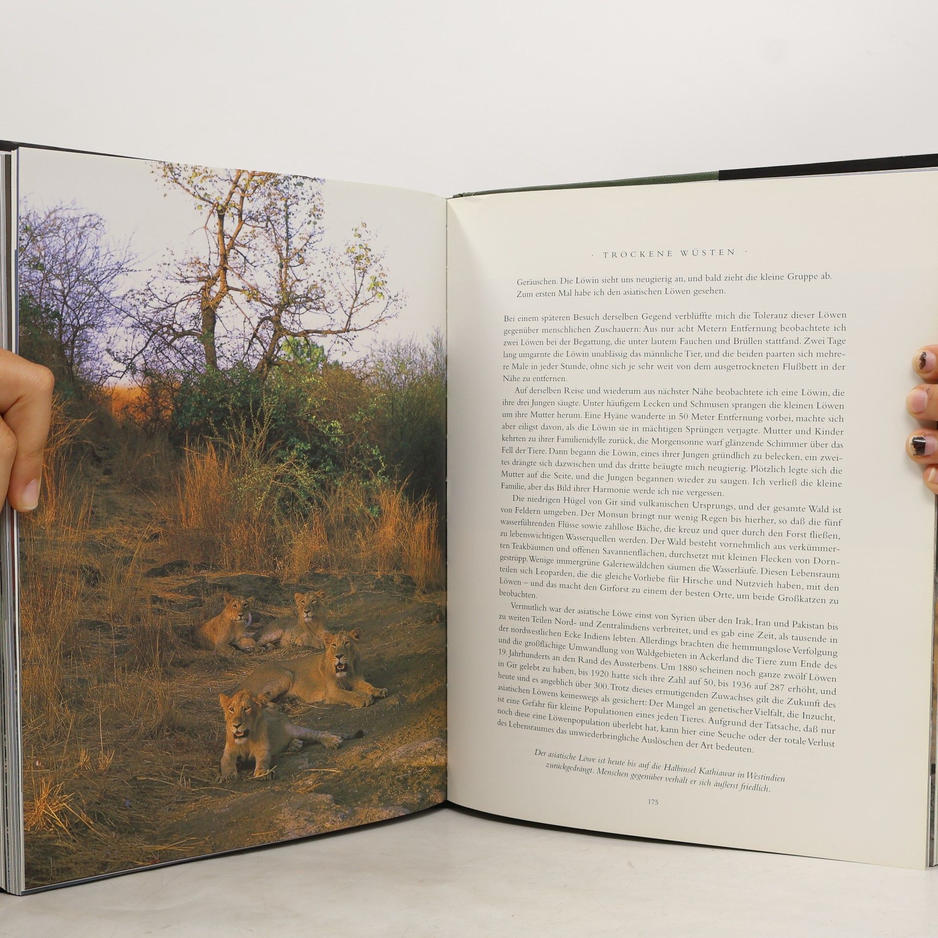 Valmik Thapar Im Land des Tigers