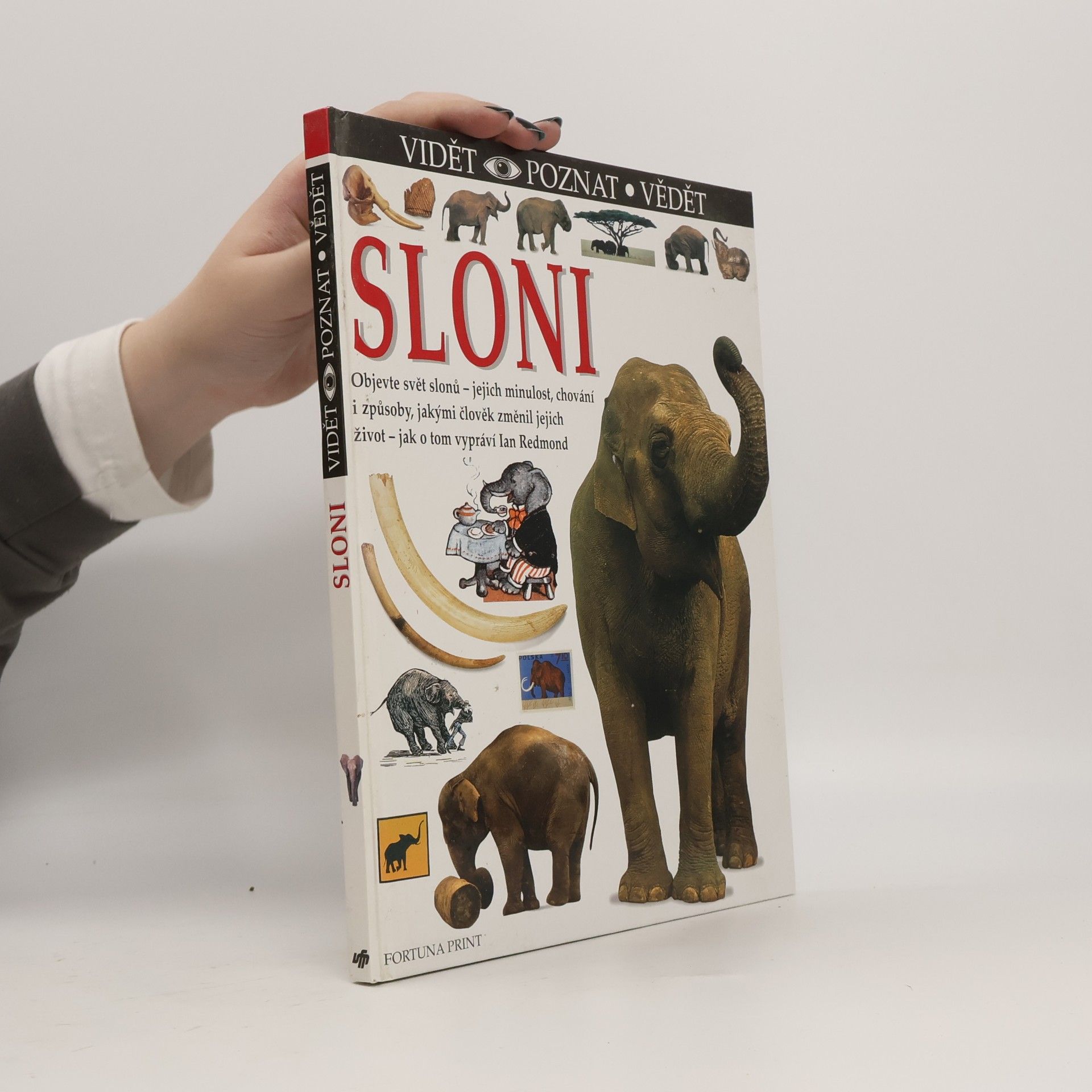 Ian Redmond Sloni