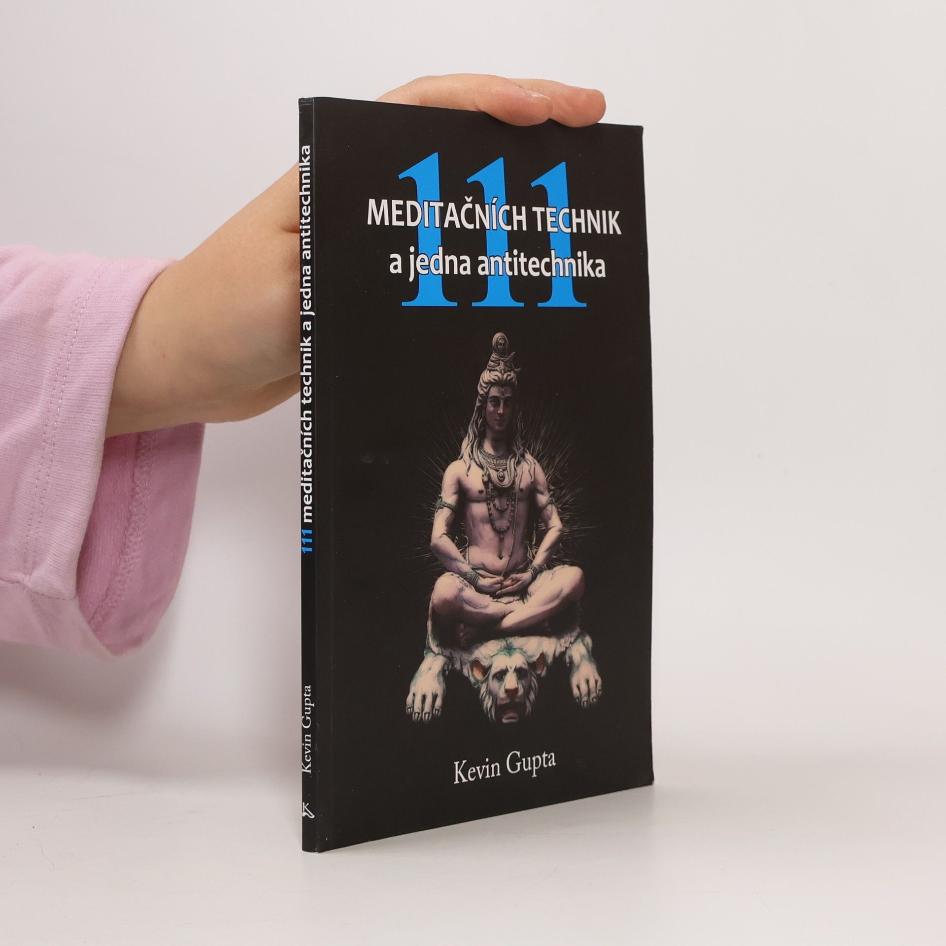 Kevin Gupta 111 meditačních technik a jedna antitechnika