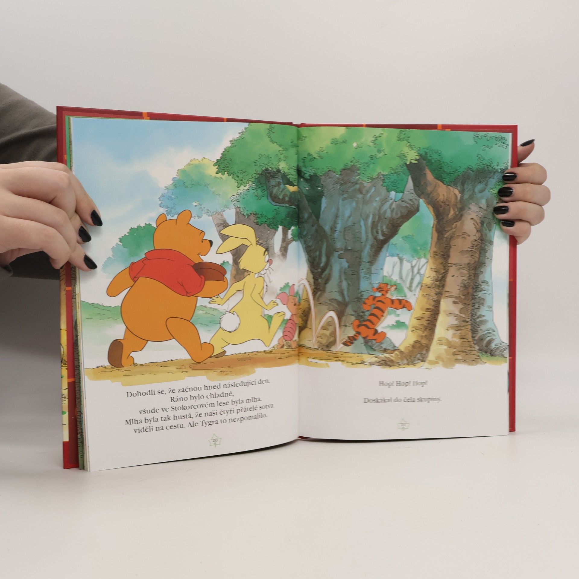 Various authors Kouzelné pohádky. Medvídek Pú a Tygr