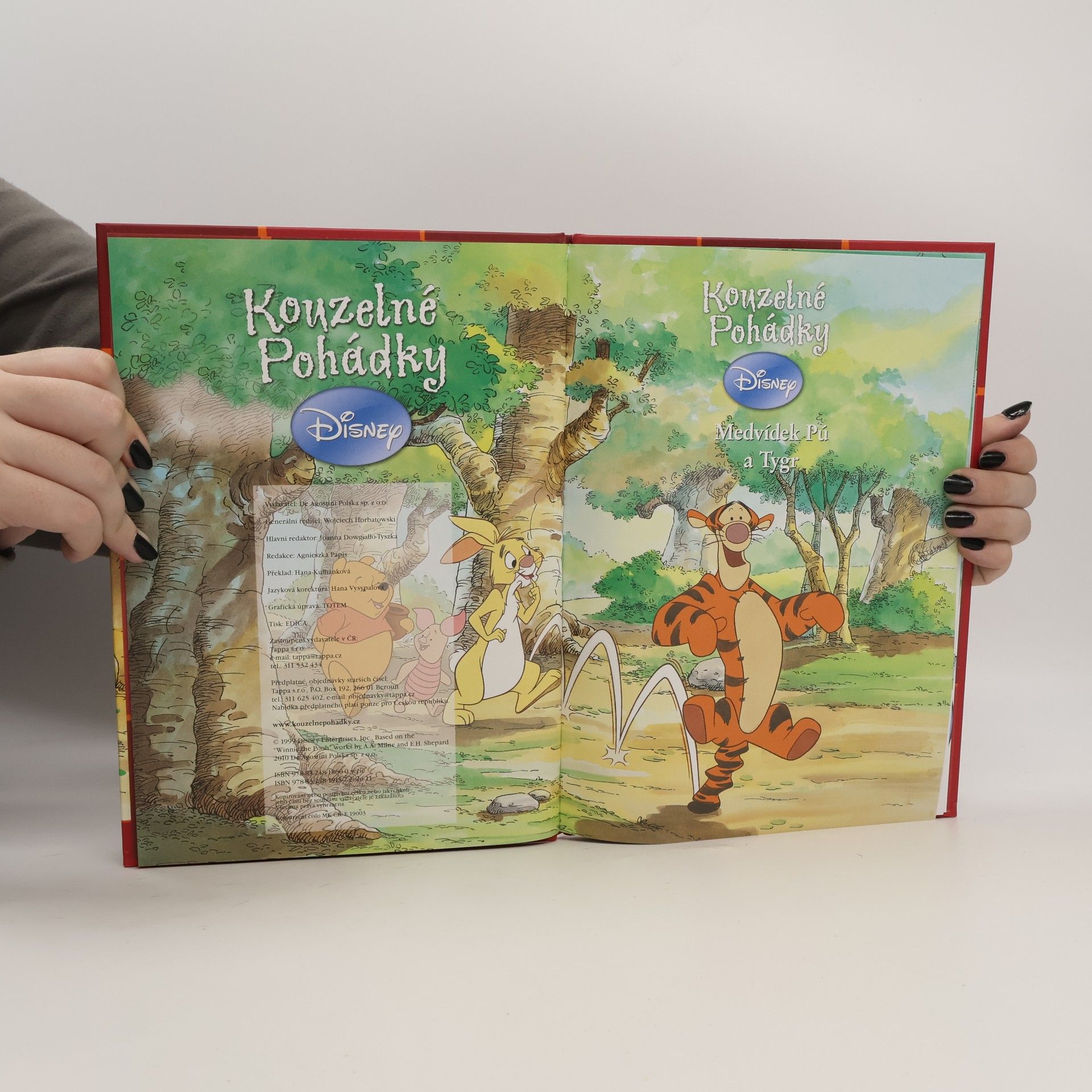 Various authors Kouzelné pohádky. Medvídek Pú a Tygr