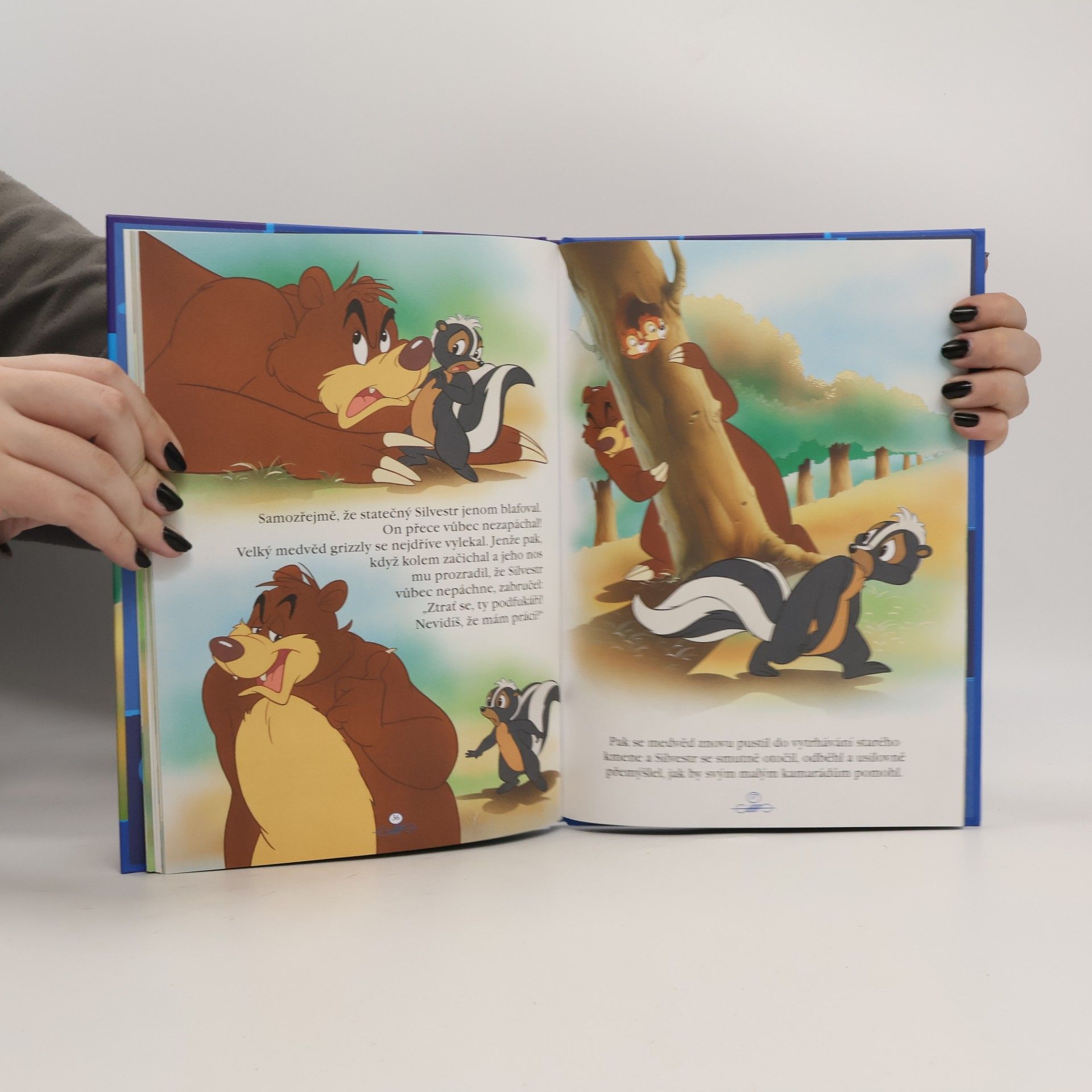 Collectif d'auteurs Kouzelné pohádky 15. Chip a Dale a tchoř Silvestr