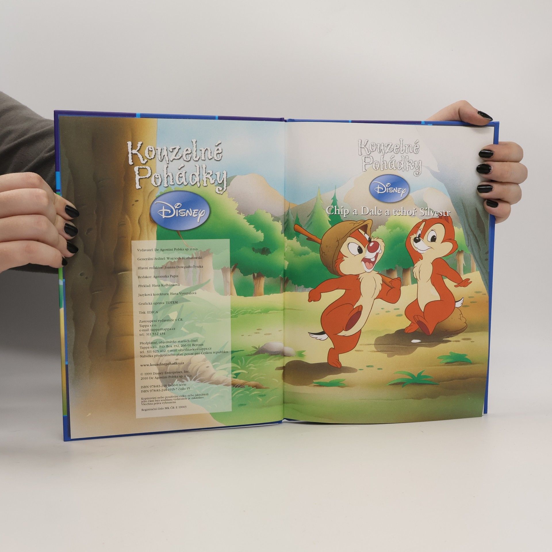 Collectif d'auteurs Kouzelné pohádky 15. Chip a Dale a tchoř Silvestr