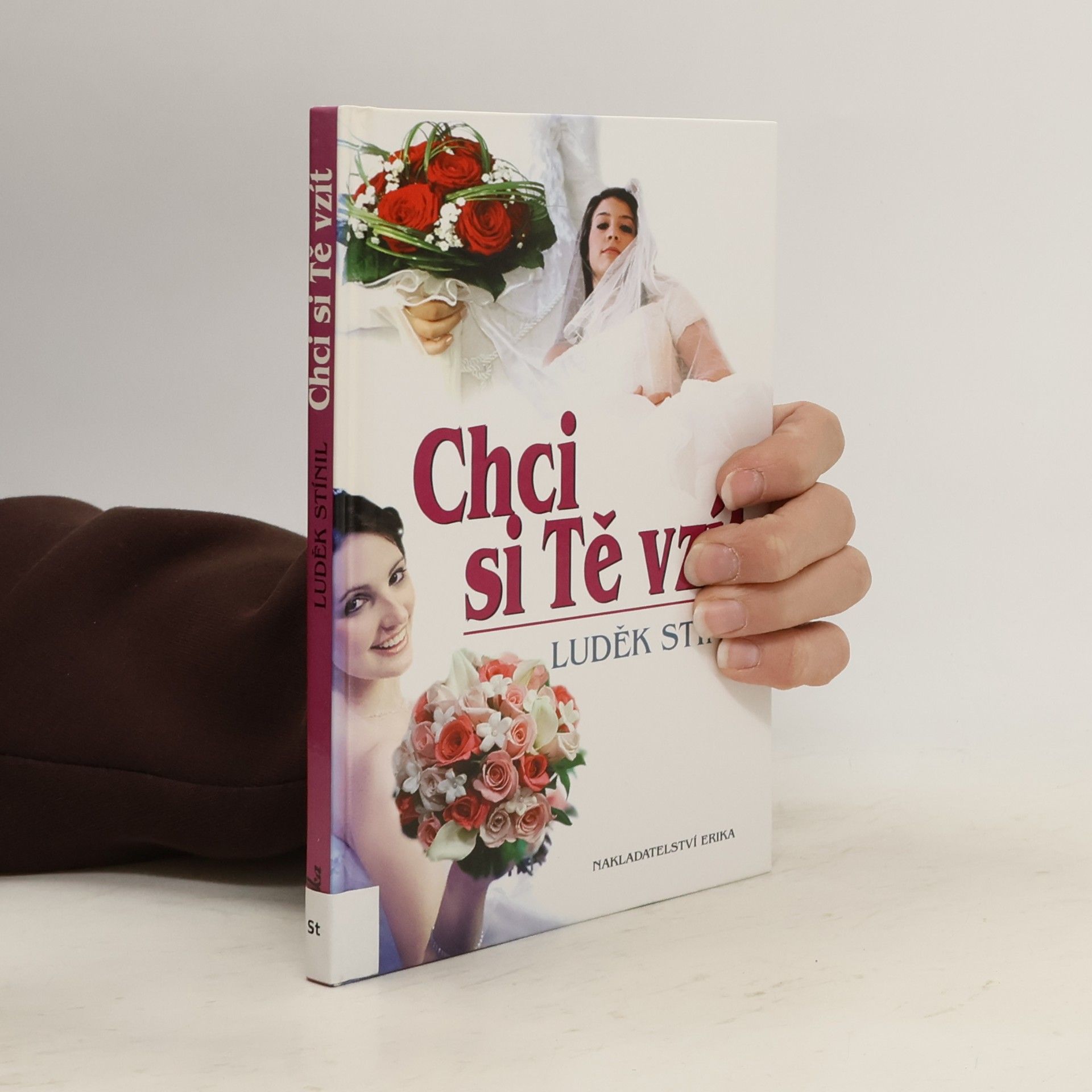 Luděk Stínil Chci si tě vzít