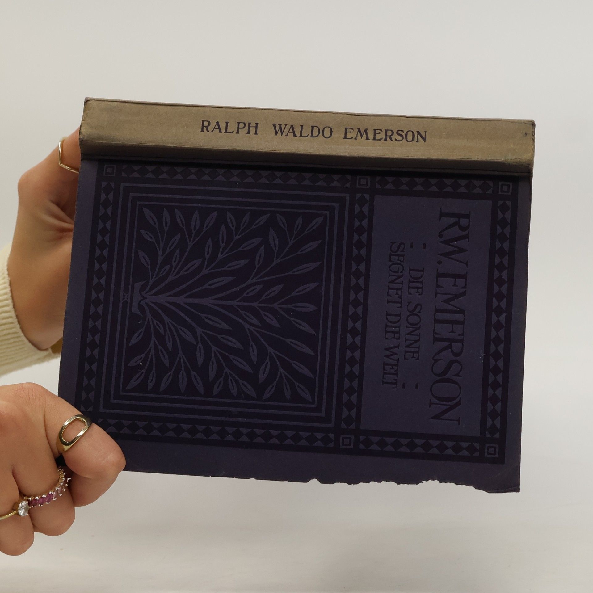 Ralph Waldo Emerson Die Sonne segnet die Welt