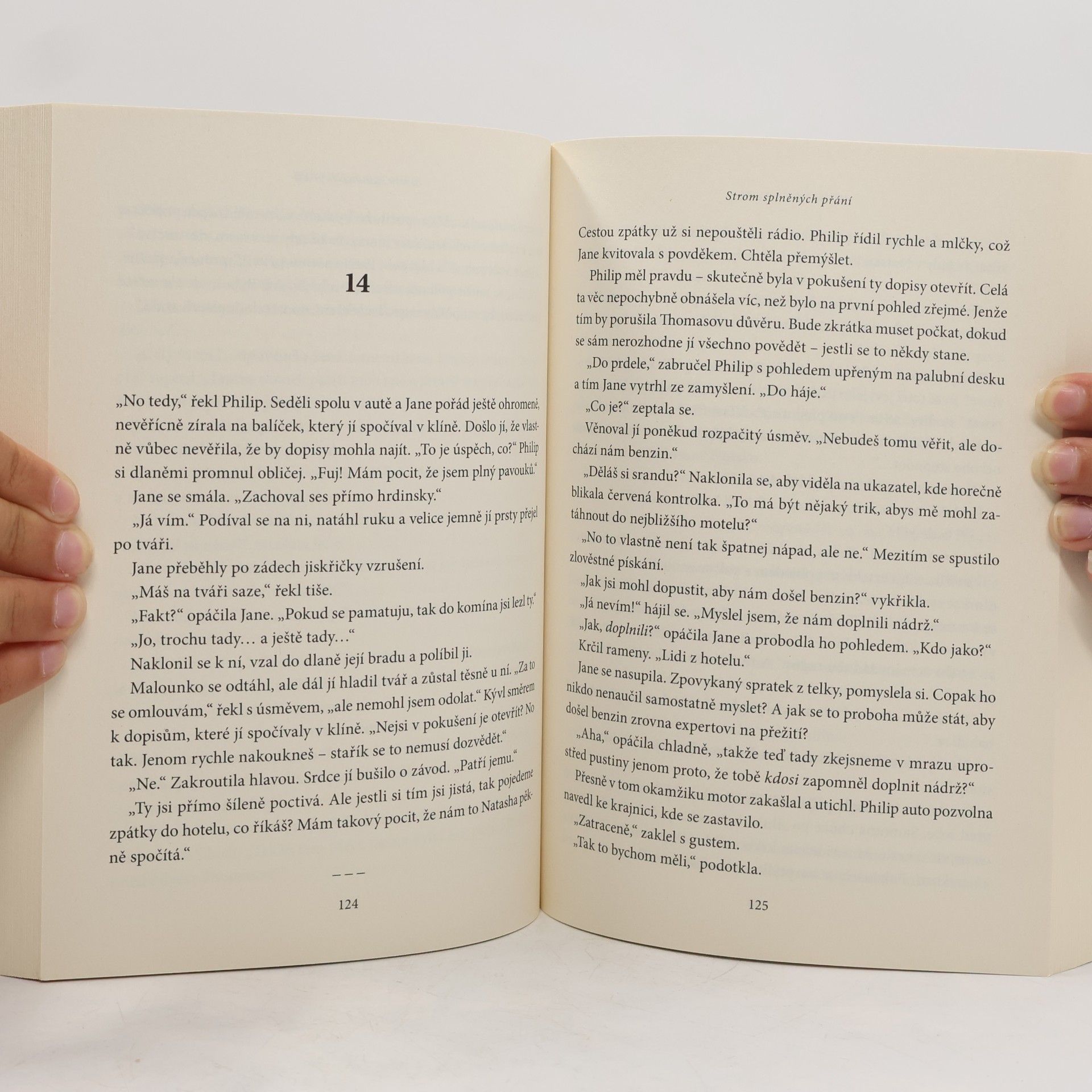 Jenny Gladwell Strom splněných přání