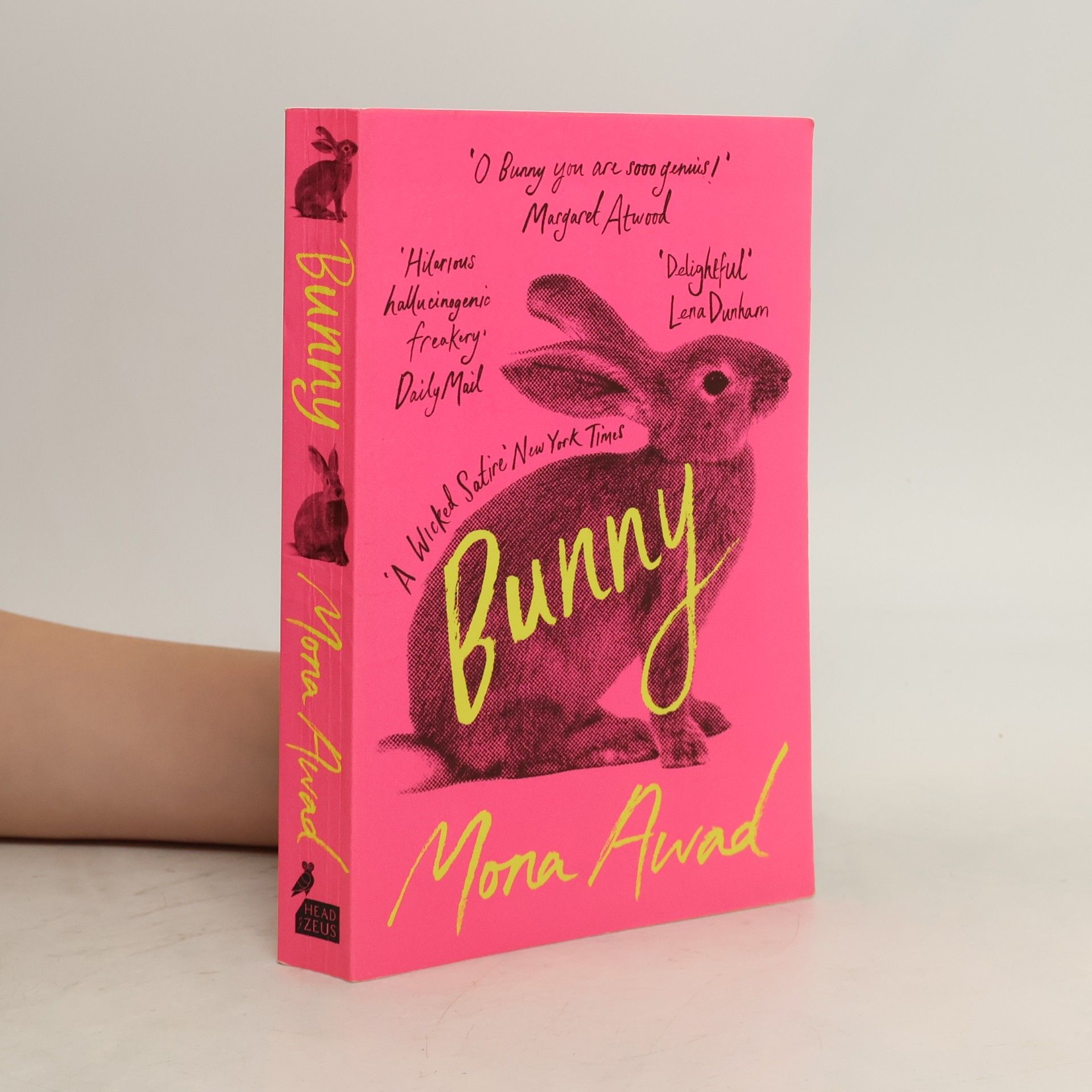 Mona Awad Bunny