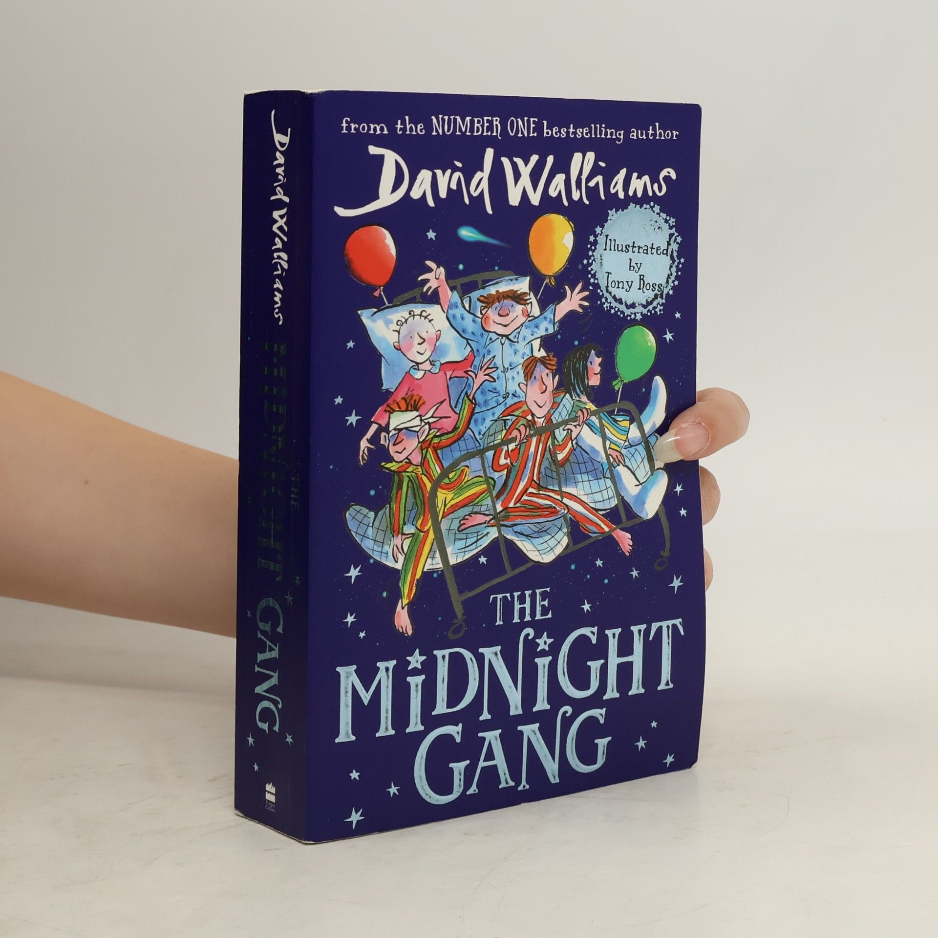 David Walliams The Midnight Gang