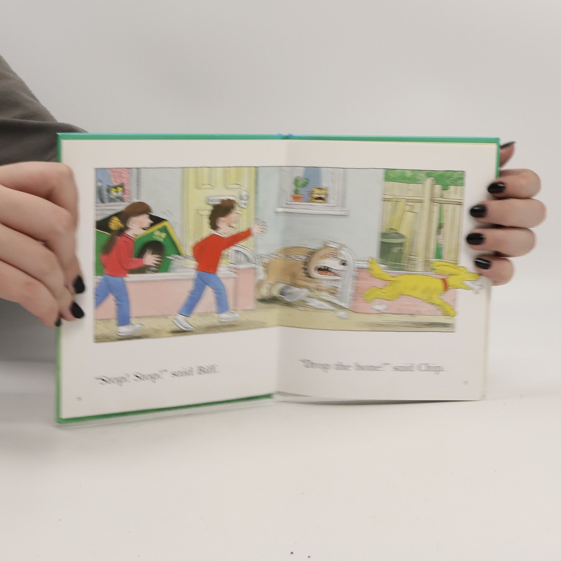 Cynthia Rider Read at Home - 2c: Floppy and the Bone with Audio-CD