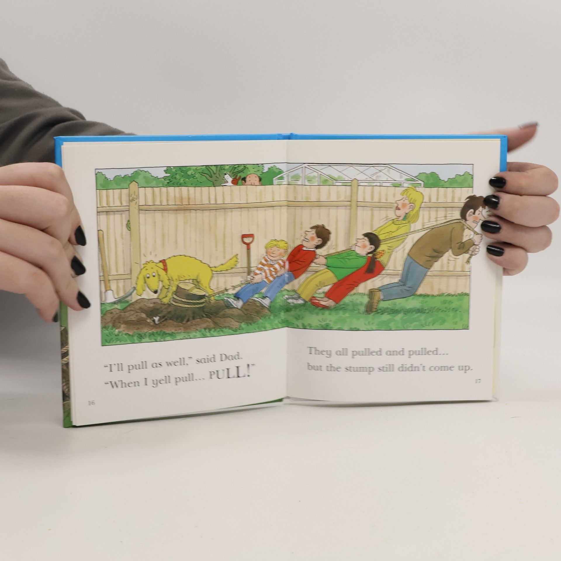 Roderick Hunt Read at Home - 3a: The Old Tree Stump with Audio-CD