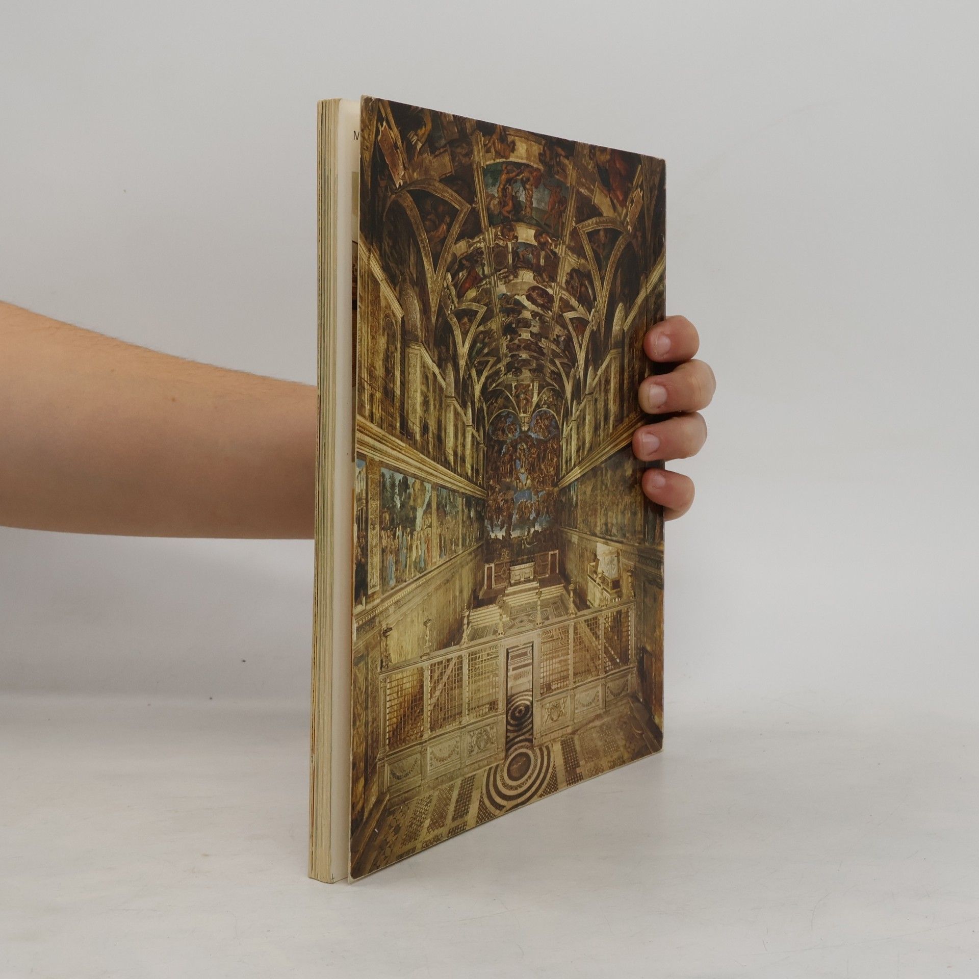 Francesco Roncalli The Vatican Museums. 100 Color Illustrations
