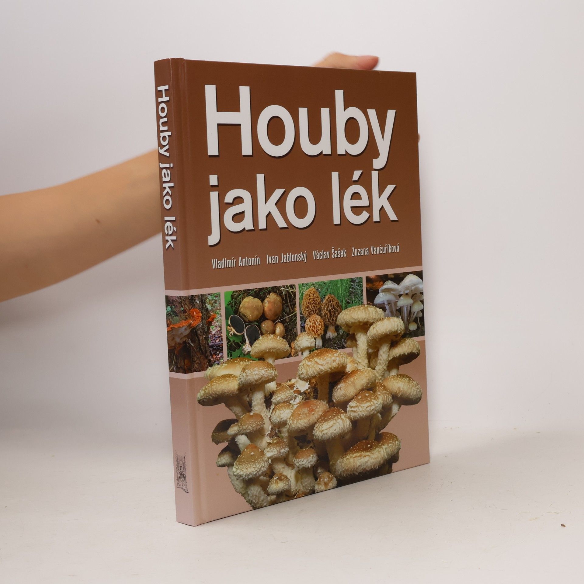 Houby jako lék