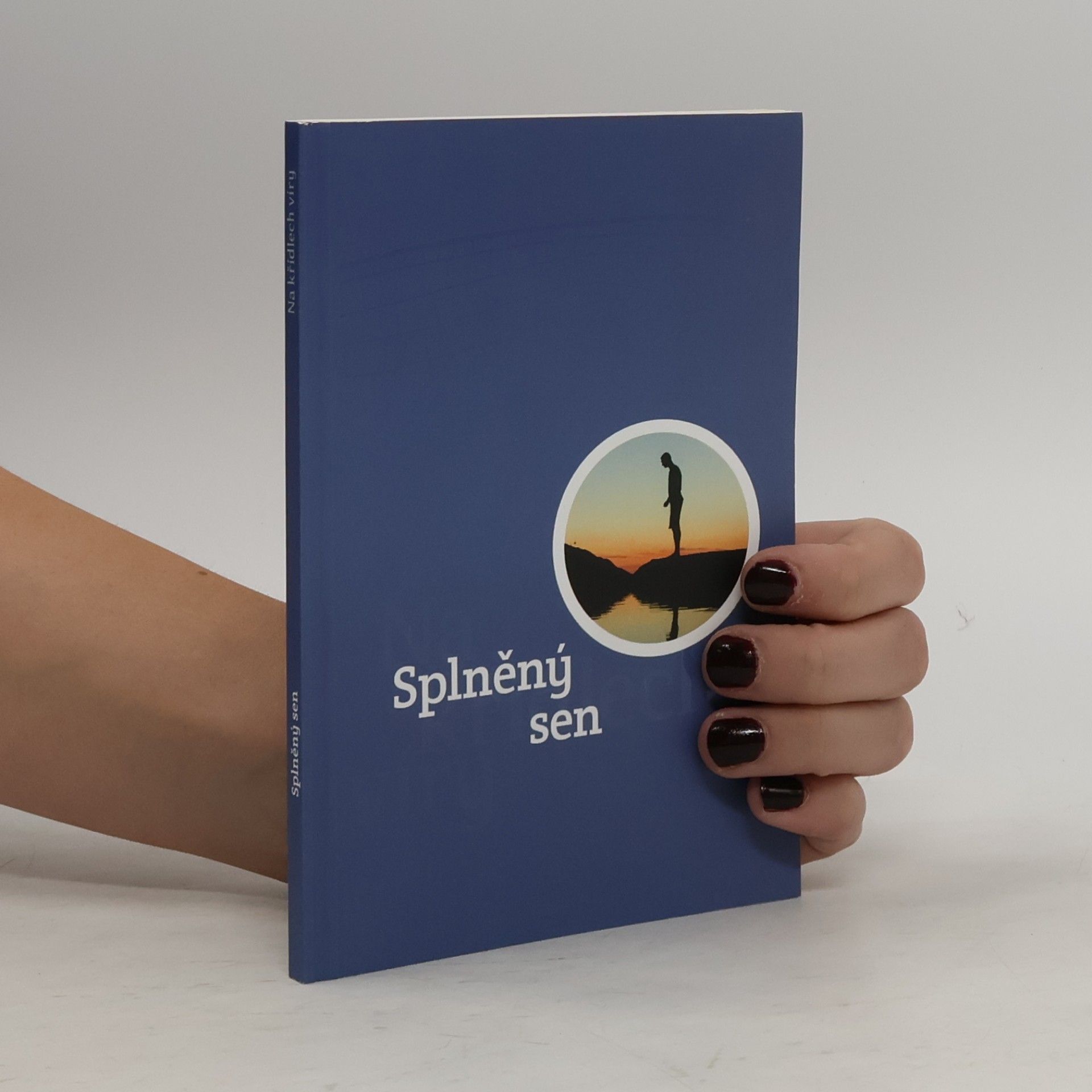 Various authors Splněný sen