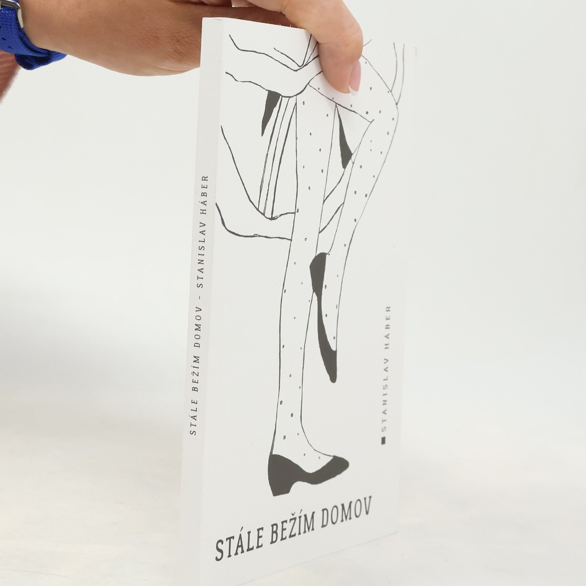 Stanislav Háber Stále bežím domov