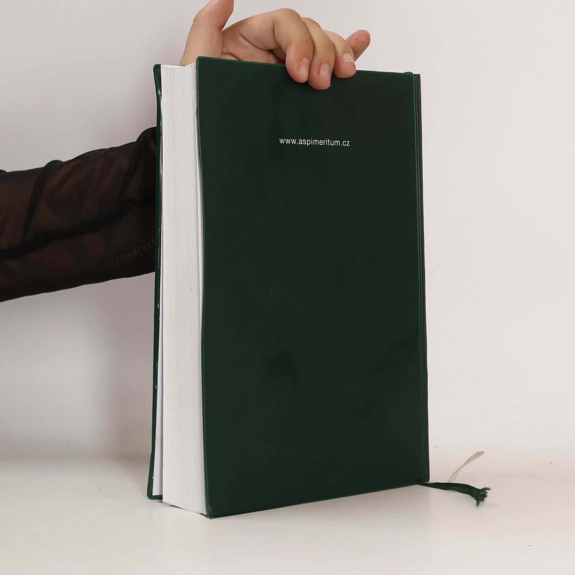 Autorenkollektiv Účetnictví podnikatelů 2008