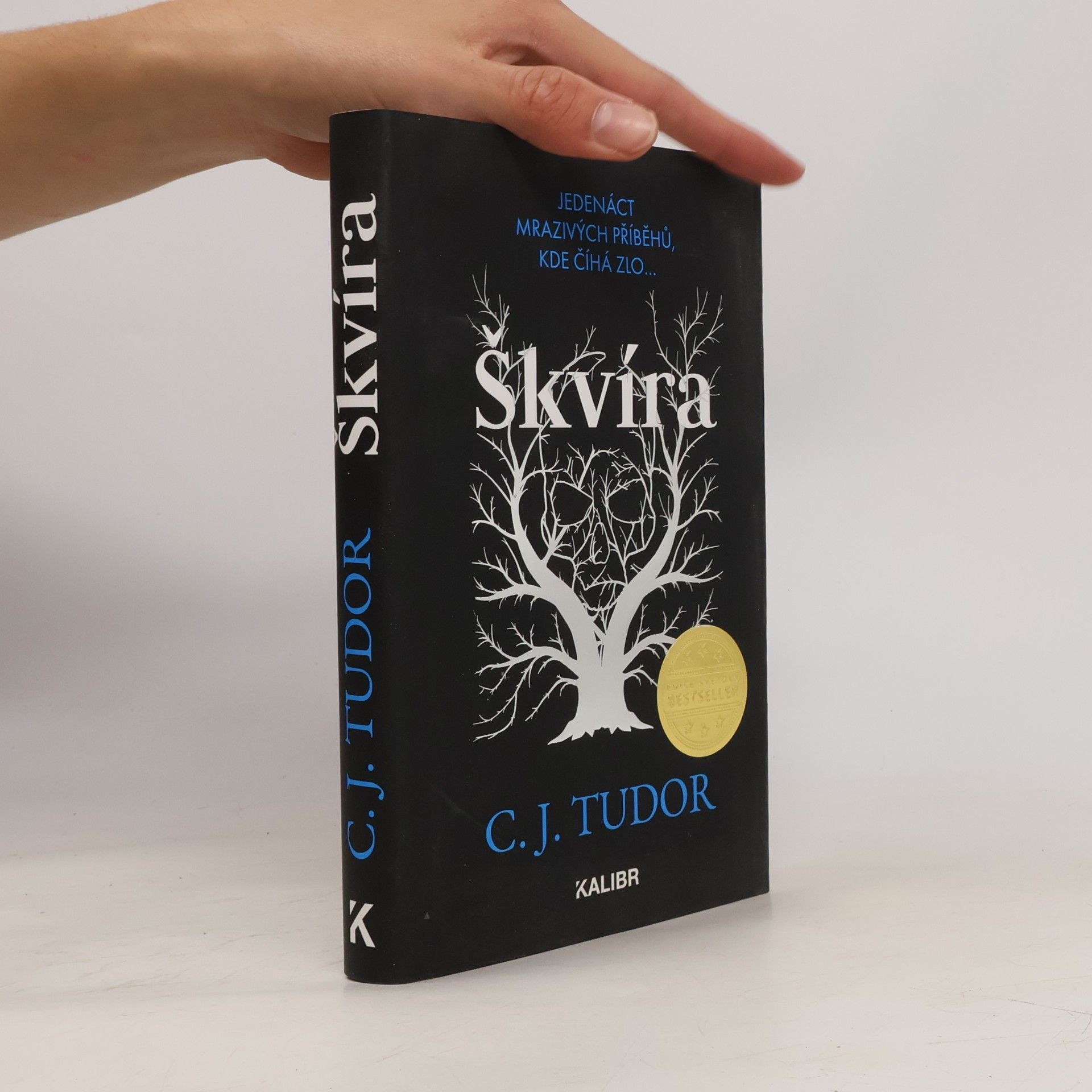 Škvíra
