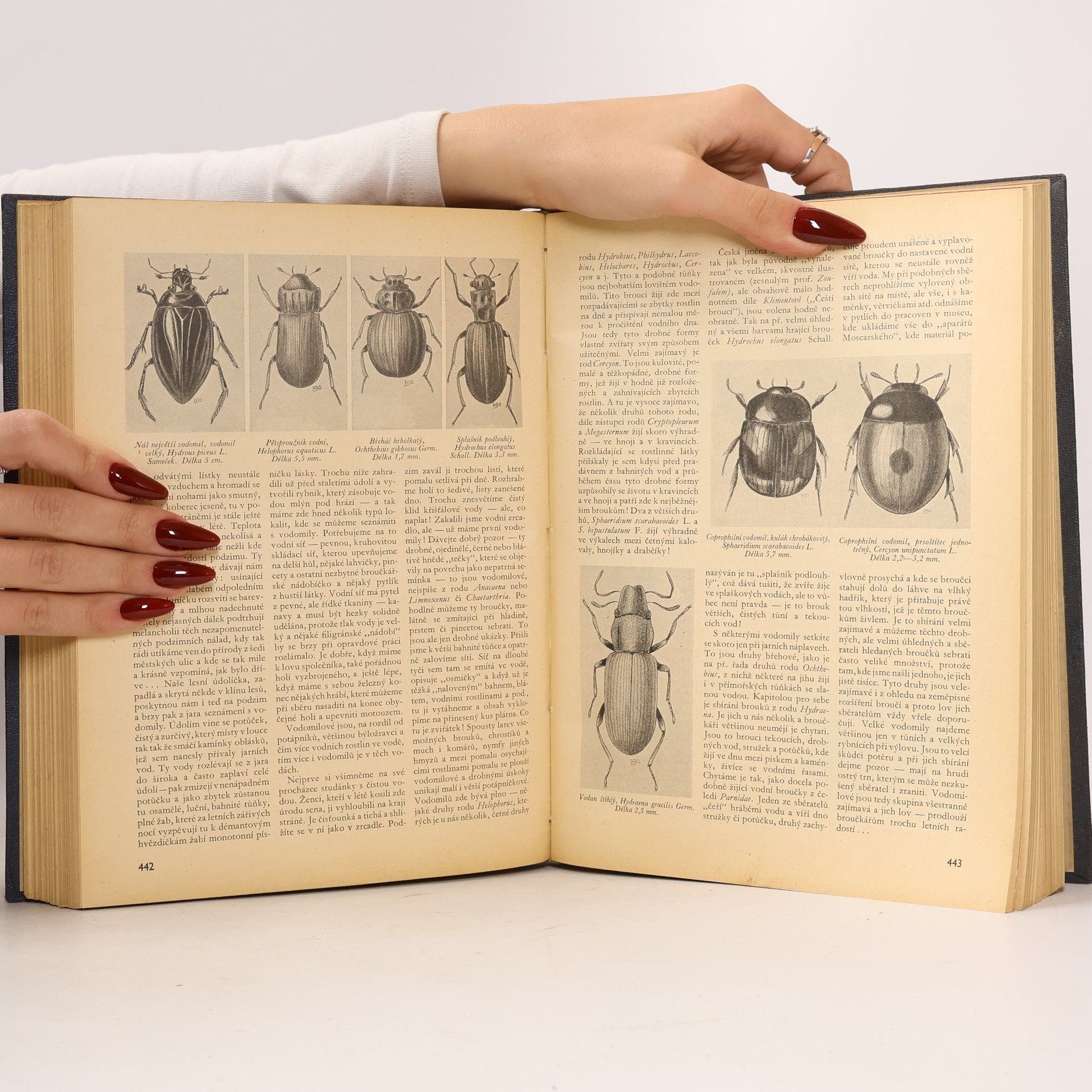 Various authors Naší přírodou IV. ročník