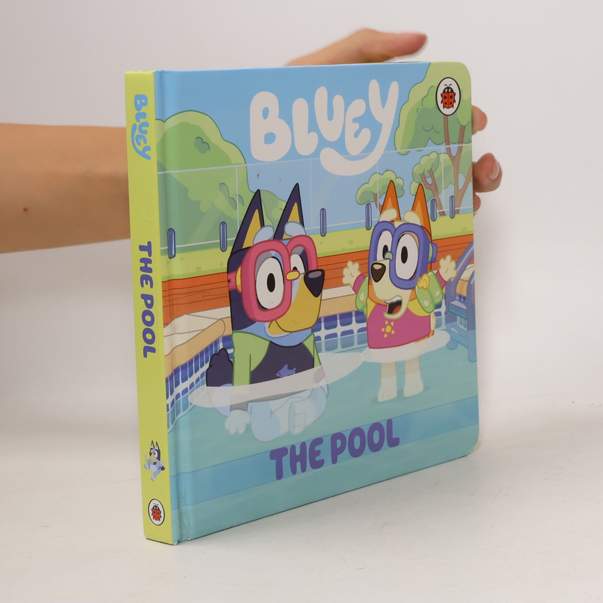 Bluey Bluey: The Pool