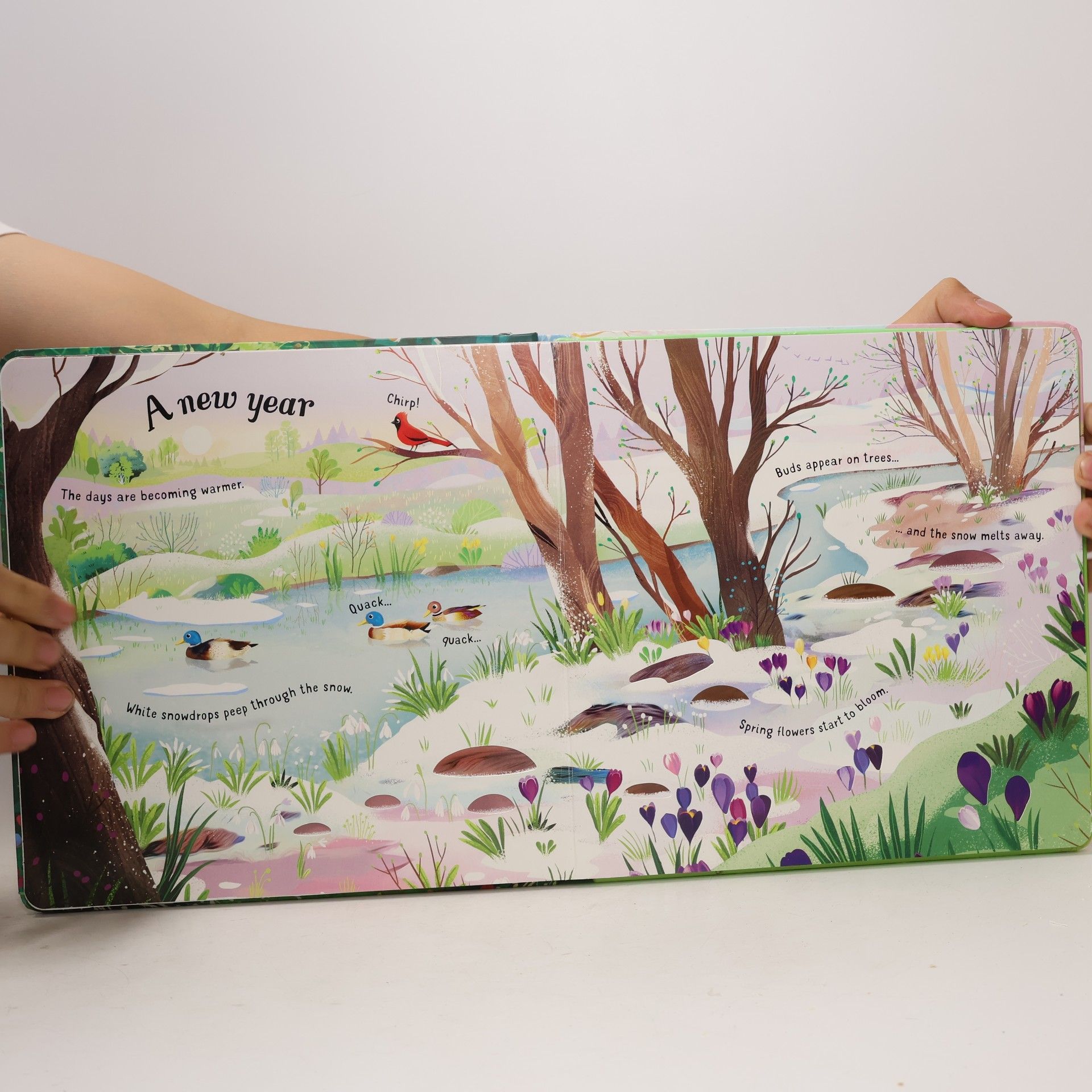 Fiona Watt Usborne Musical Books: Vivaldi's Four Seasons