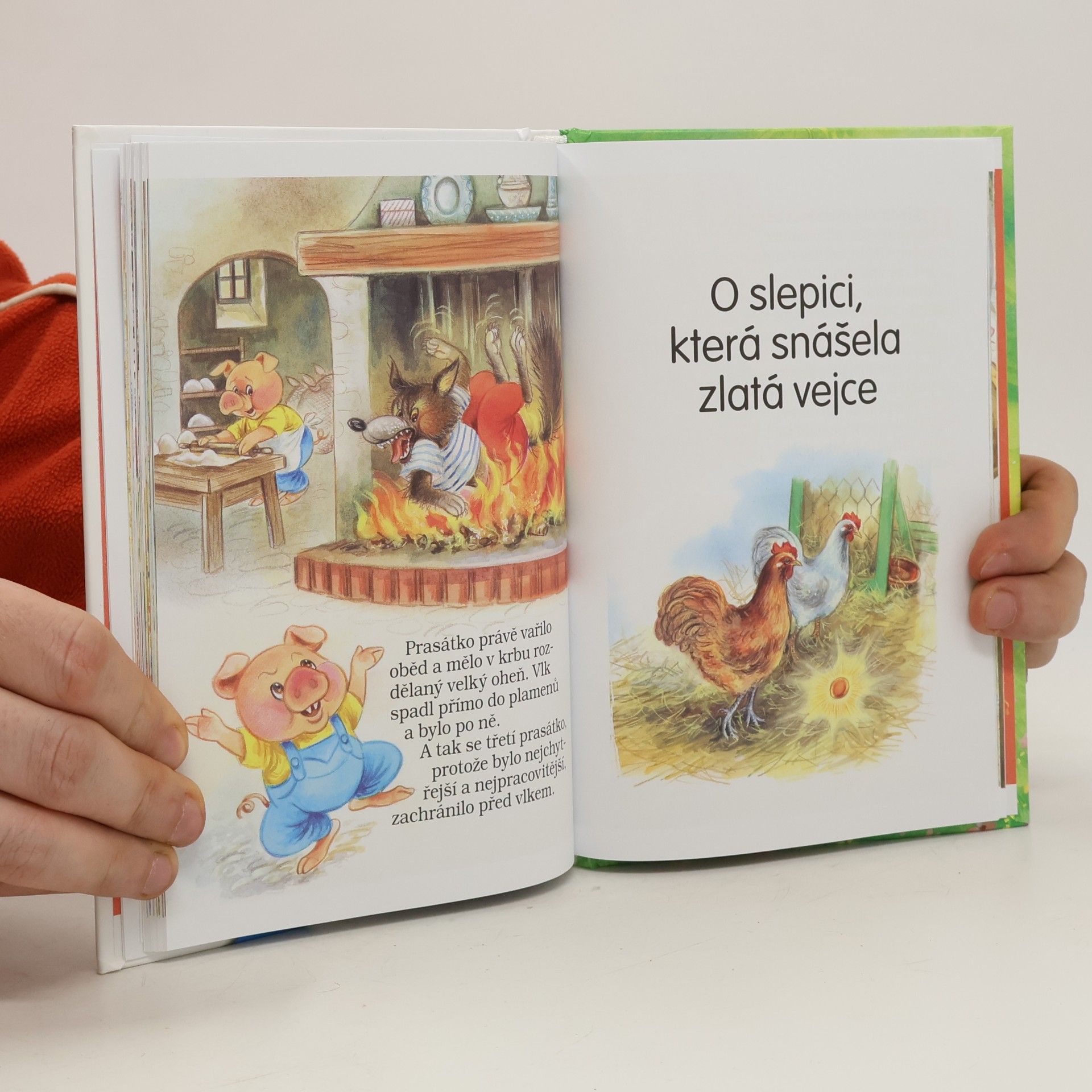 Autorenkollektiv Pohádkové čtení o zvířátkách
