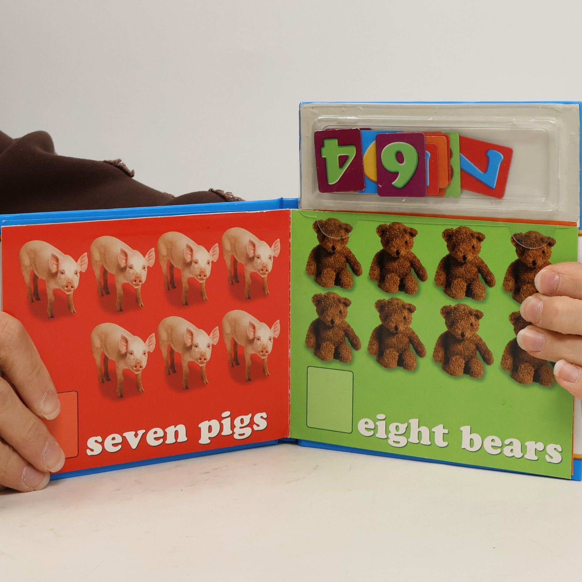 WS Publishing Magnet Book - Counting