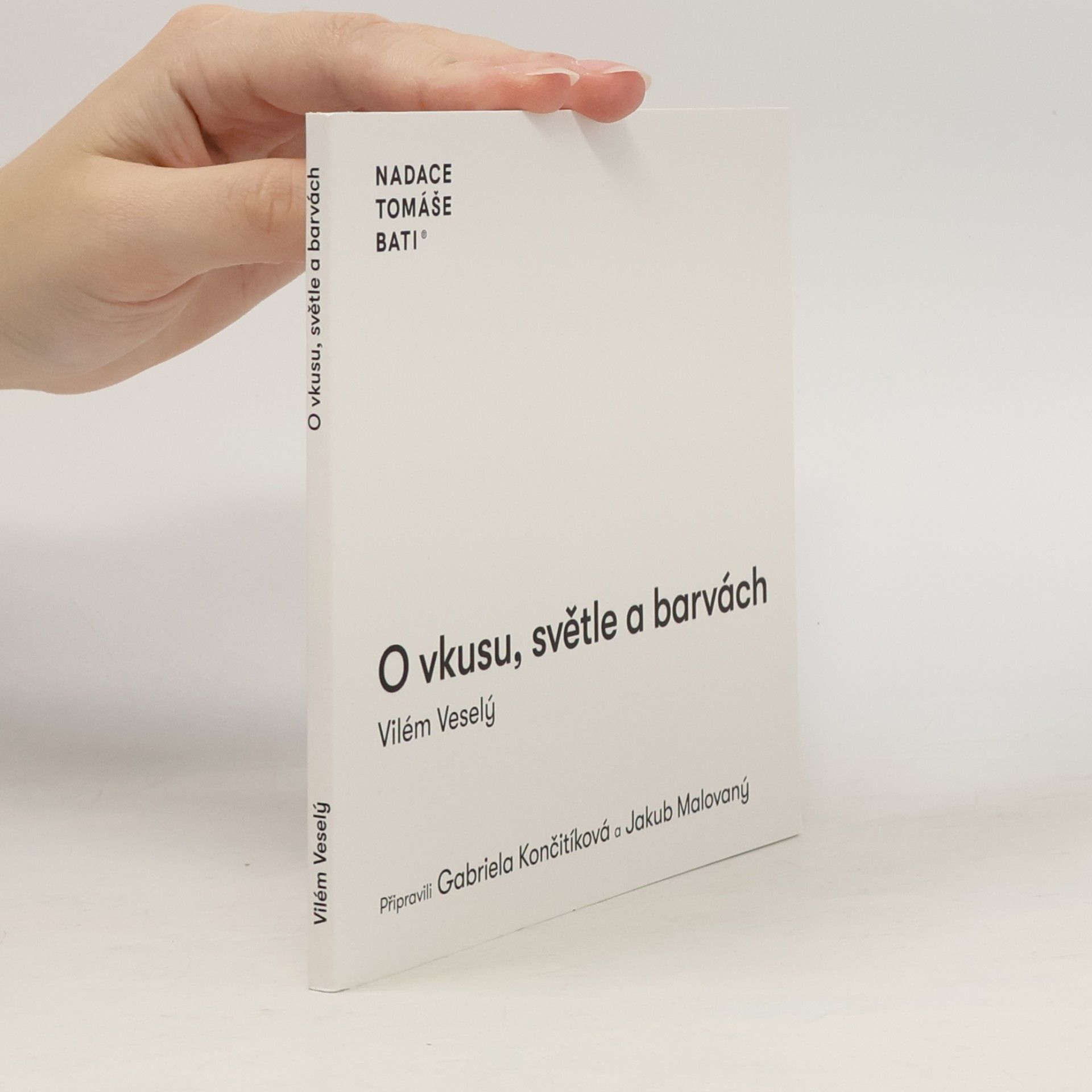 O vkusu, světle a barvách (2025)