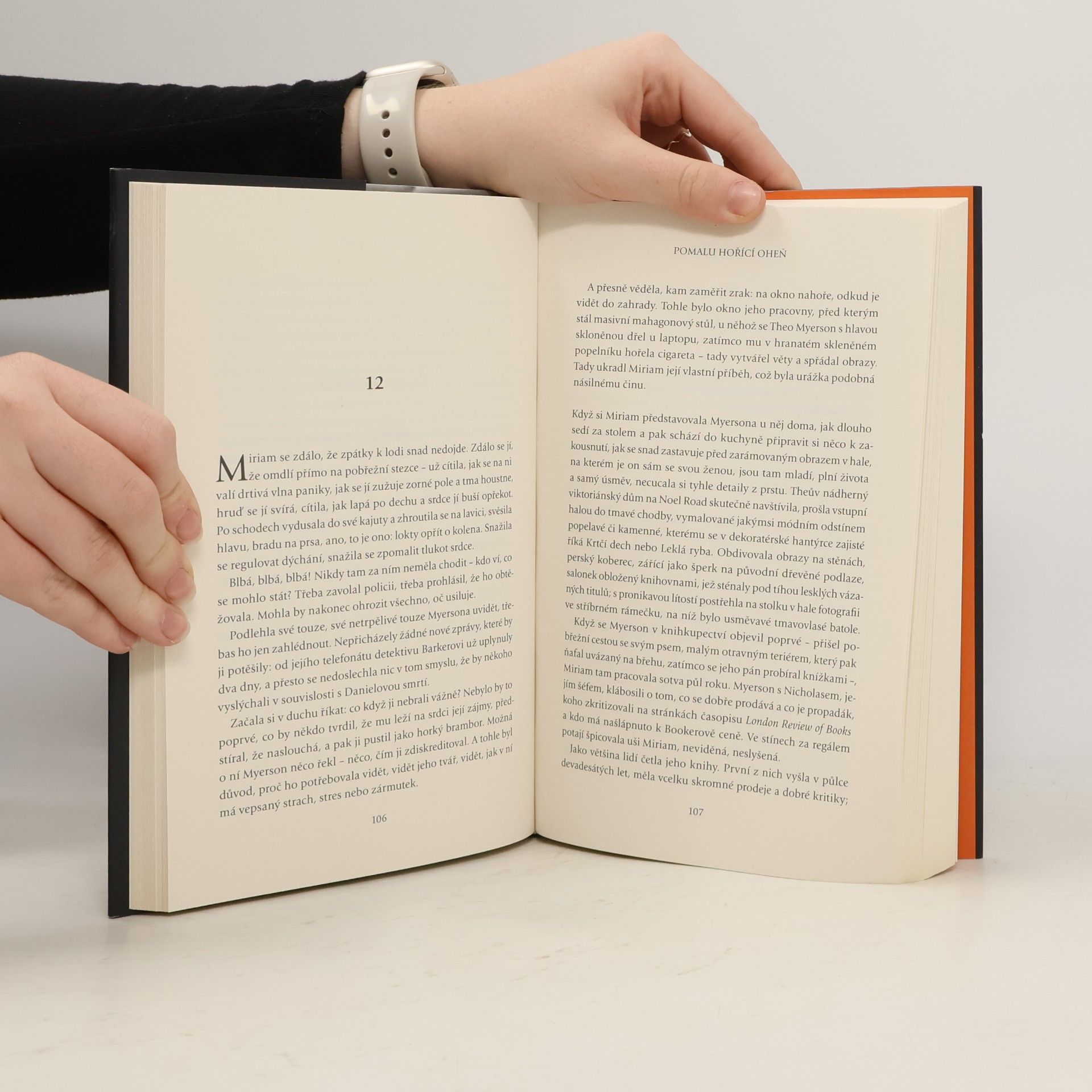 Paula Hawkins Pomalu hořící oheň