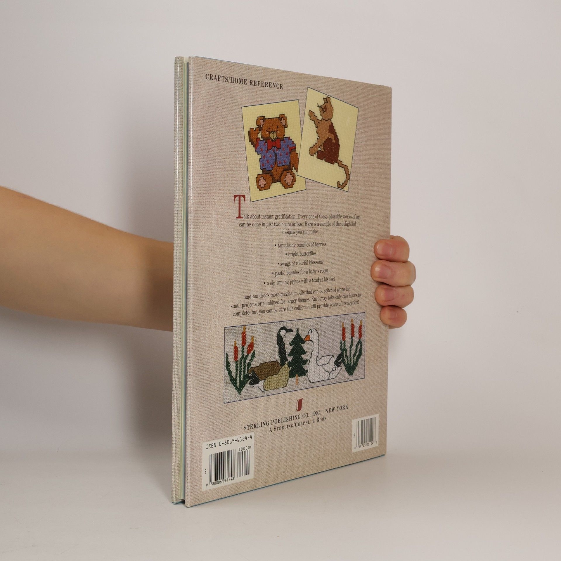 Susie Steadman Two-Hour Crafts: Two-Hour Country Cross-Stitch