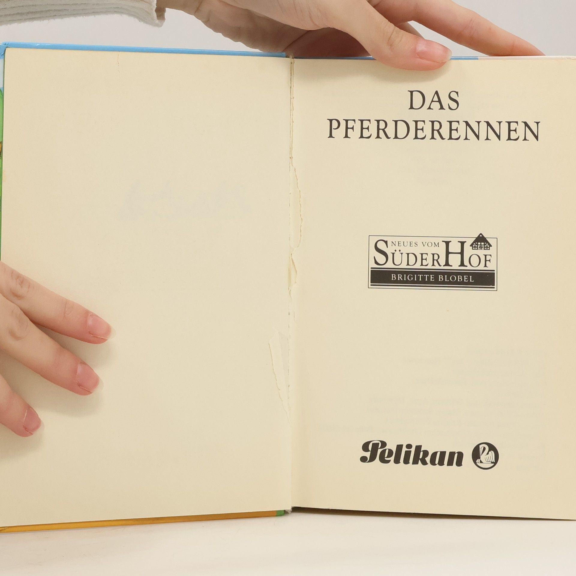 Hedda Kehrhahn Neues vom Süderhof, Bd.4, Das Pferderennen
