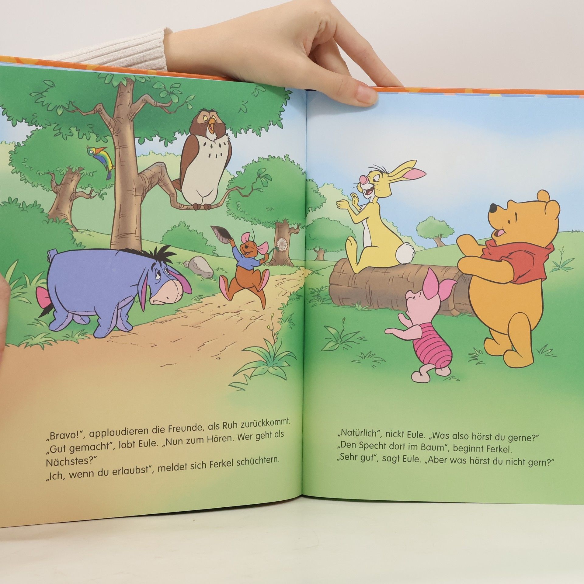 Autorenkollektiv Winnie Puuh. Ein wunderschöner Tag