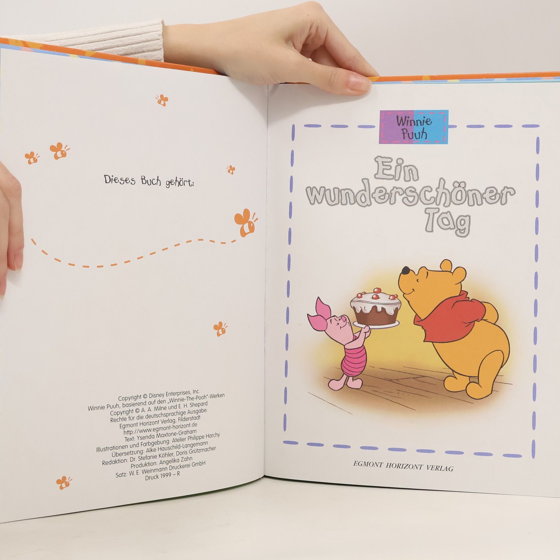 Autorenkollektiv Winnie Puuh. Ein wunderschöner Tag
