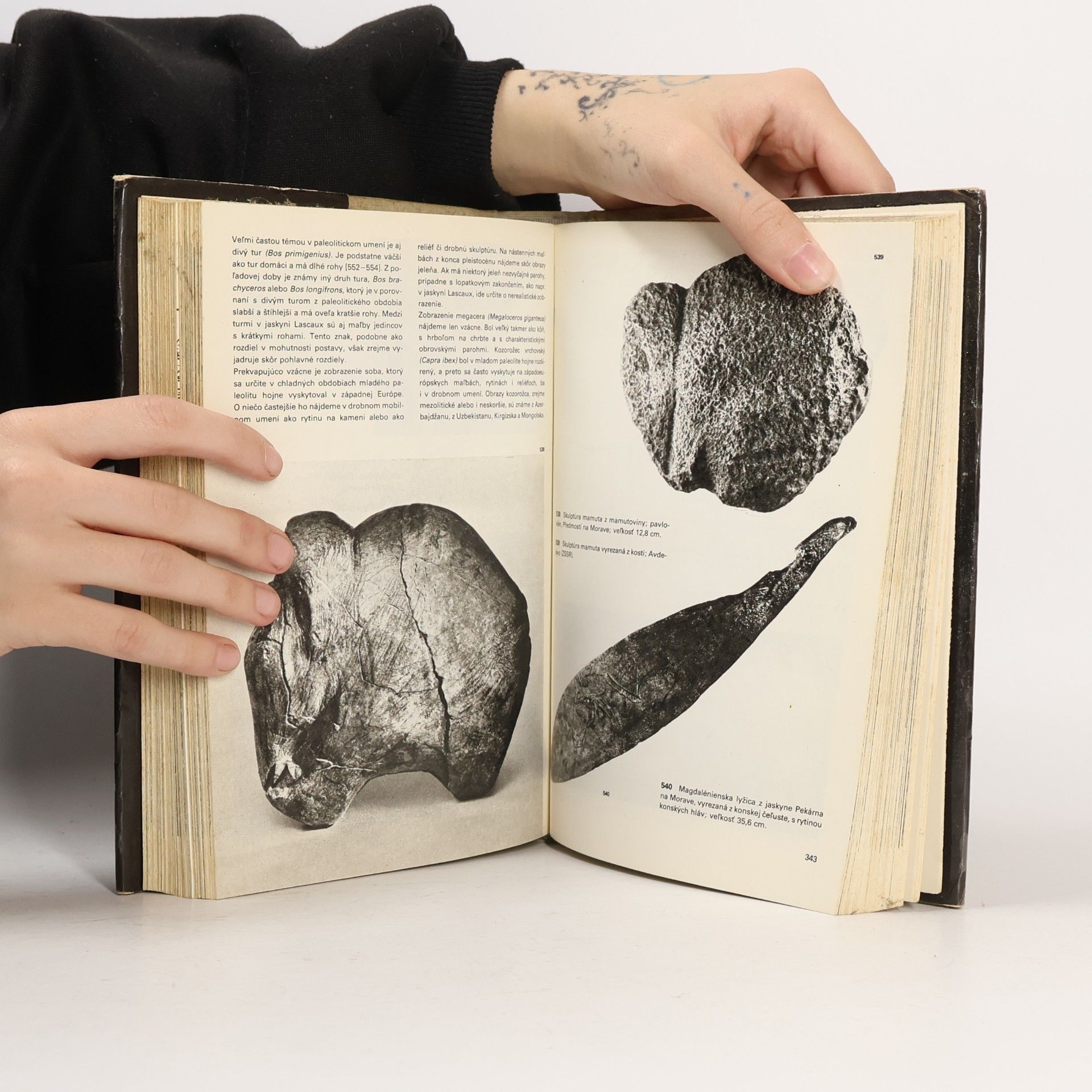 Jan Jelinek Velký obrazový atlas pravěkého člověka