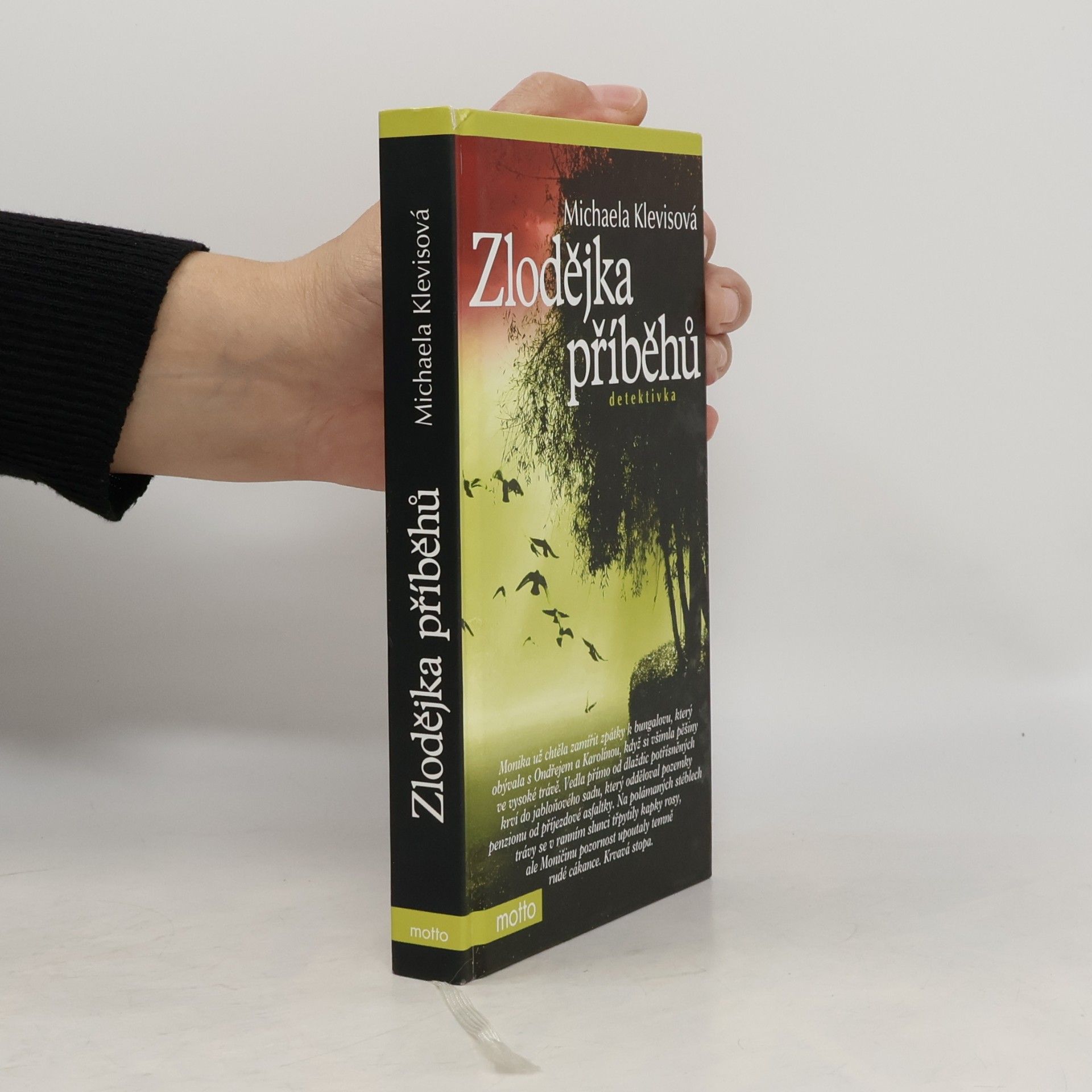 Michaela Klevisová Zlodějka příběhů