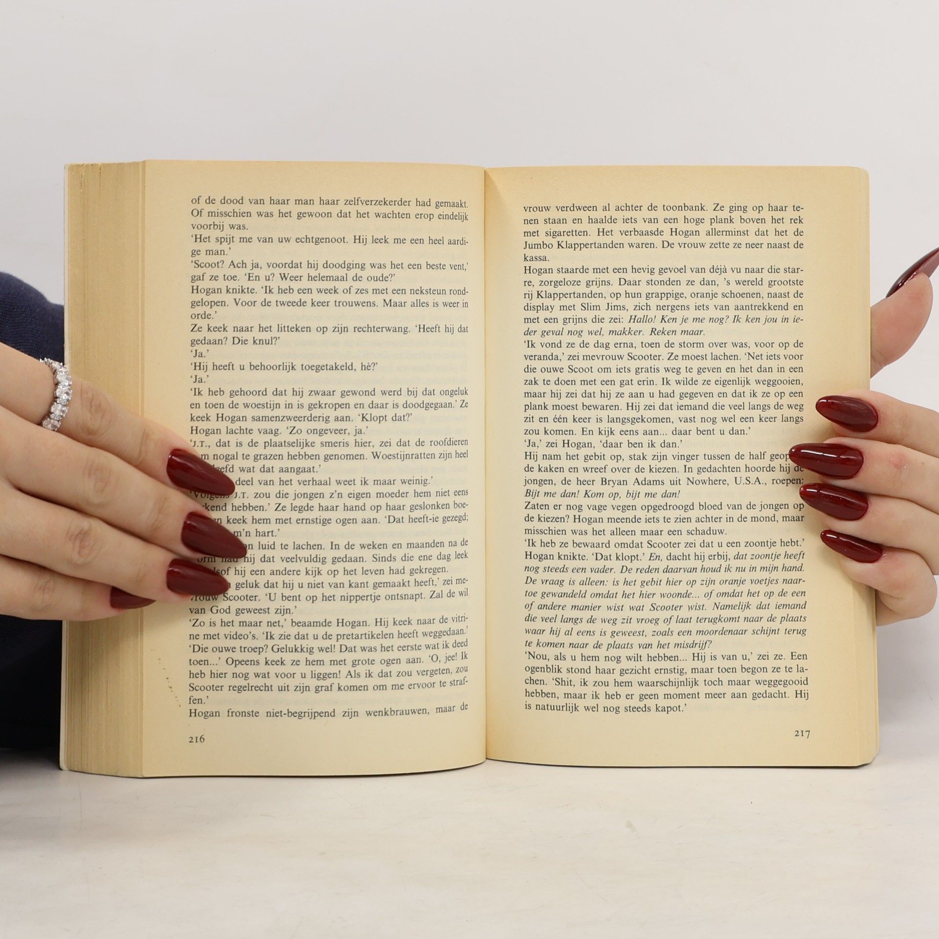 Stephen King Poema Pocket: Nachtmerries