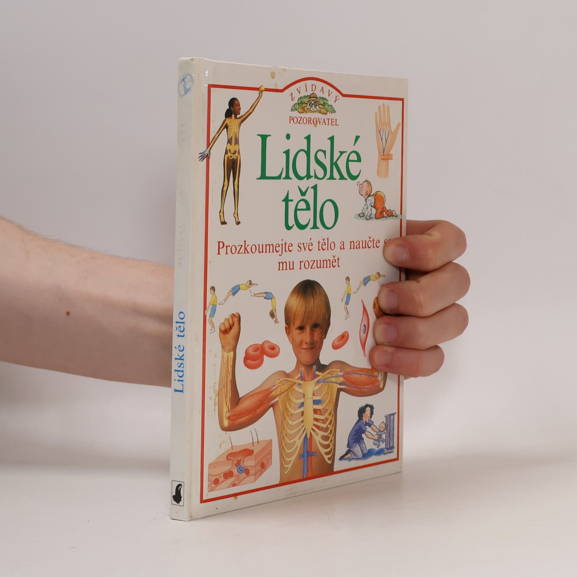 Steve Parker Zvídavý pozorovatel: Lidské tělo