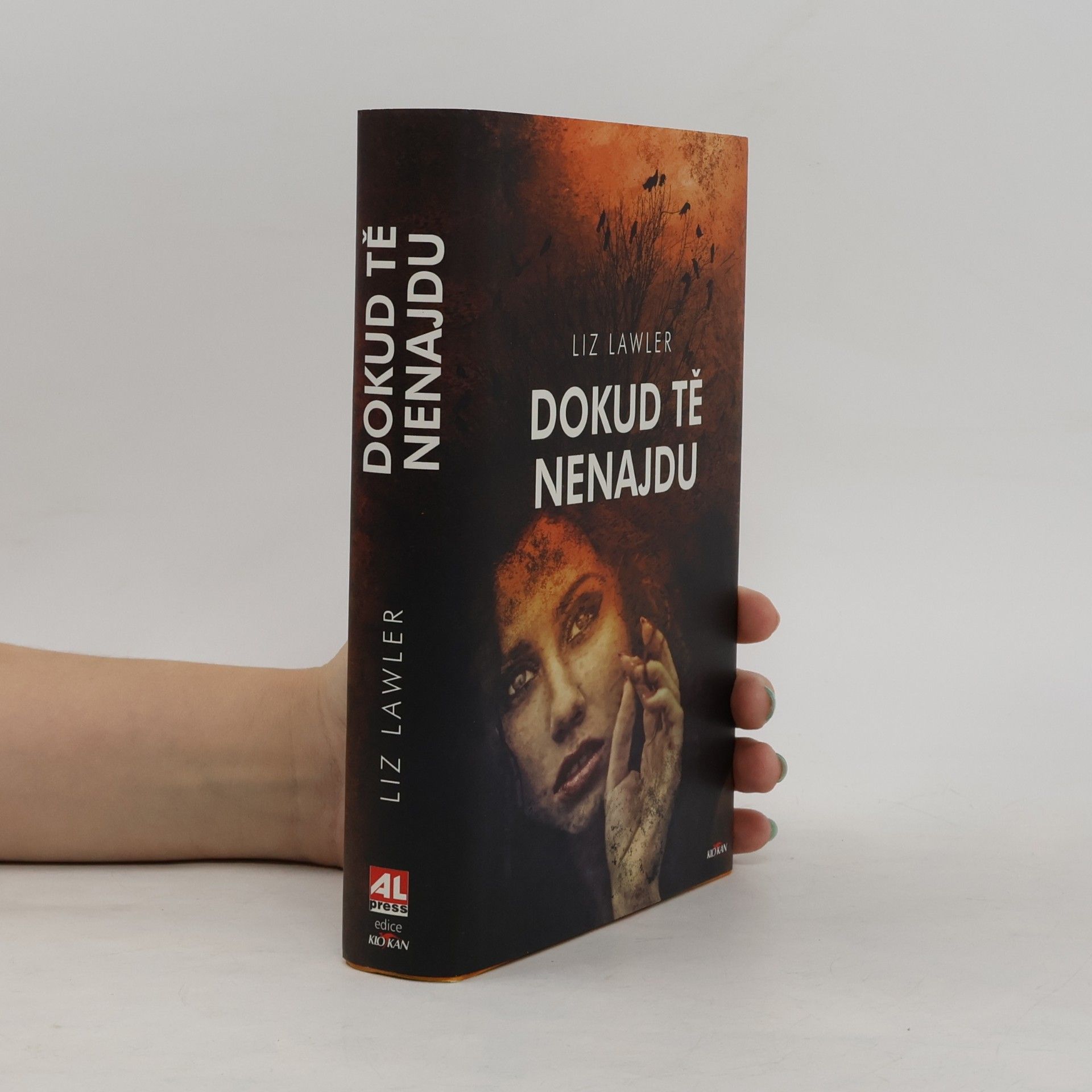Liz Lawler Dokud tě nenajdu
