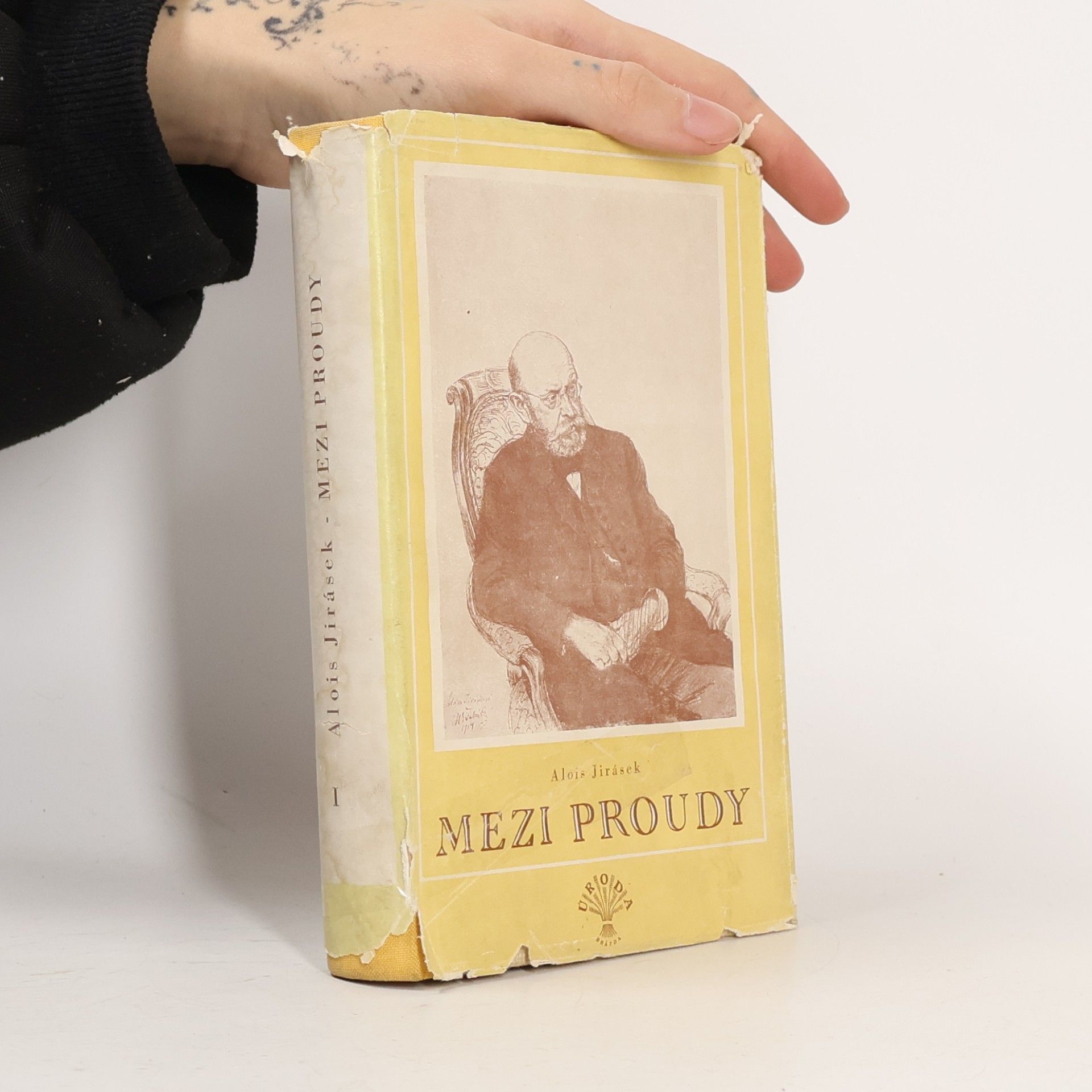 Alois Jirásek Mezi proudy I