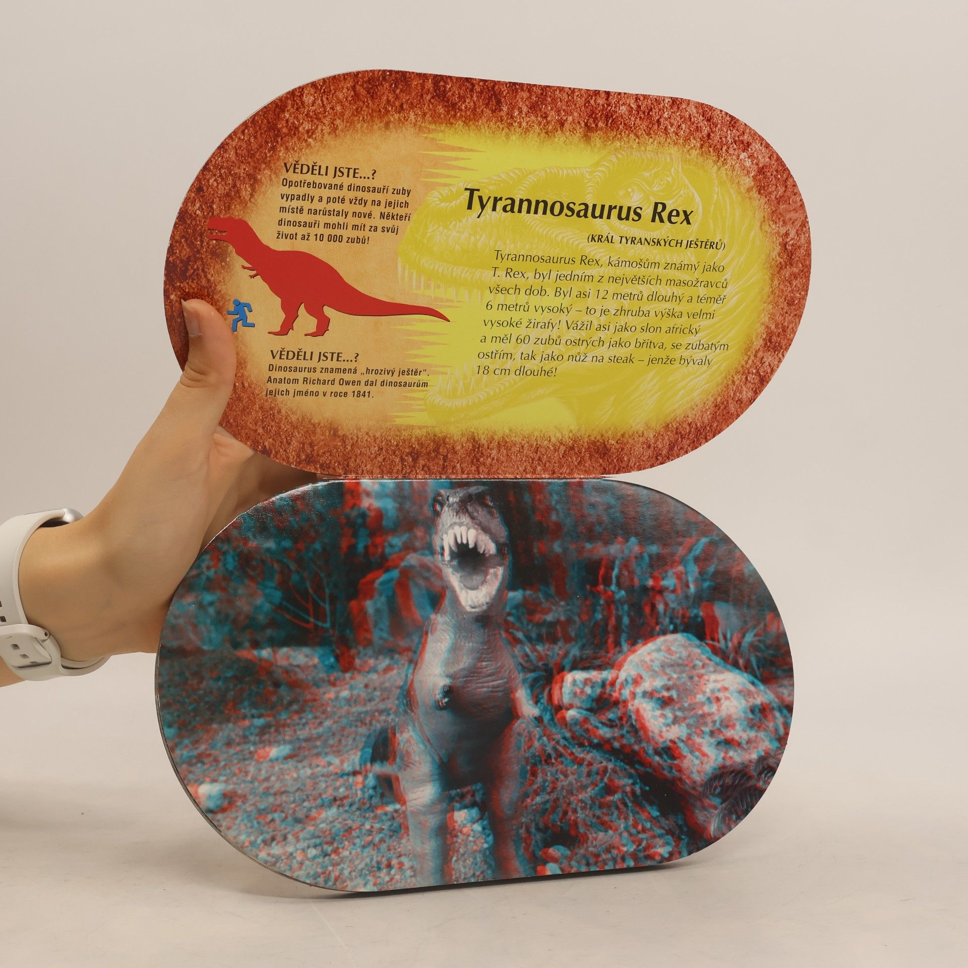Autorenkollektiv Fakta o dinosaurech 3D