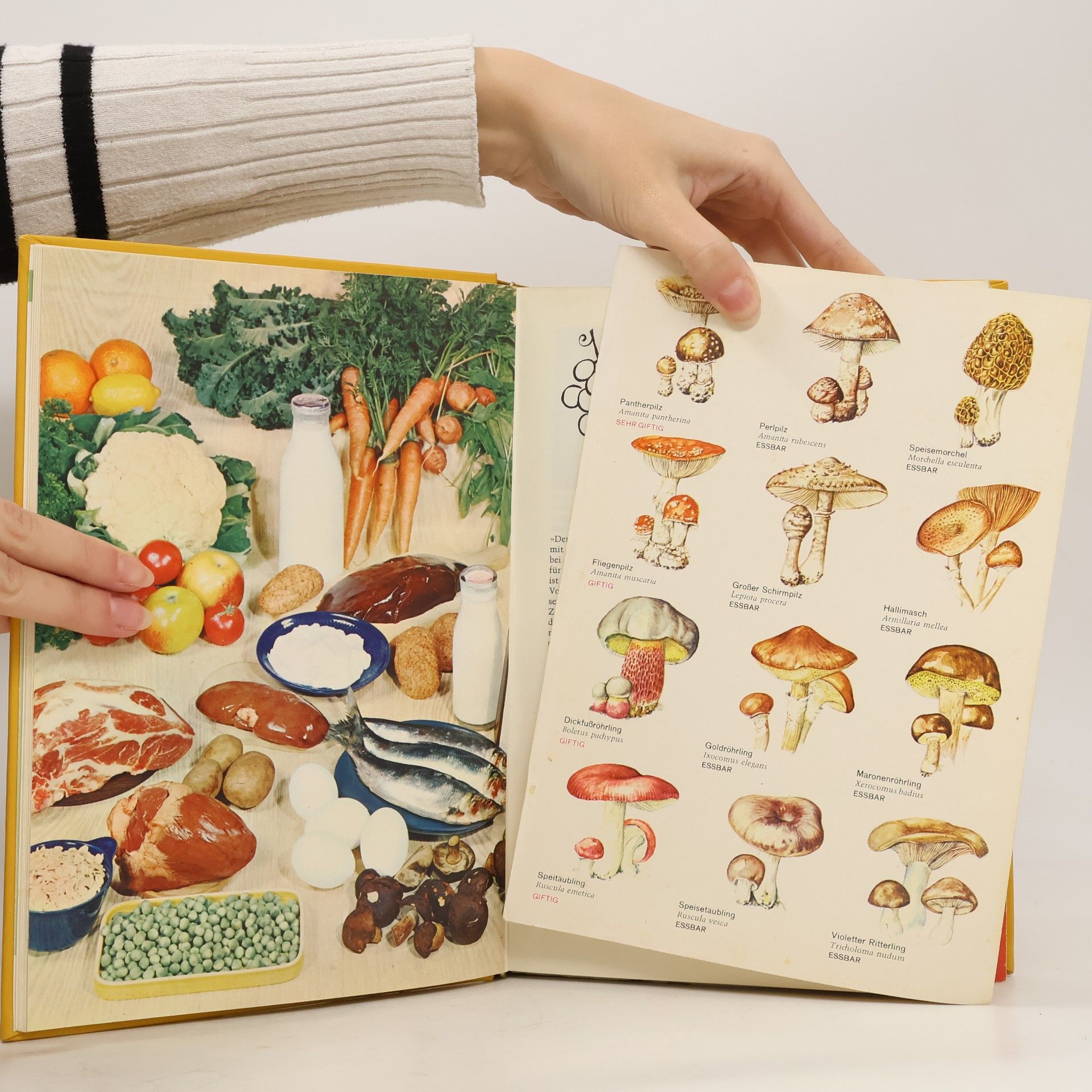 Roland Gööck Das neue große Kochbuch