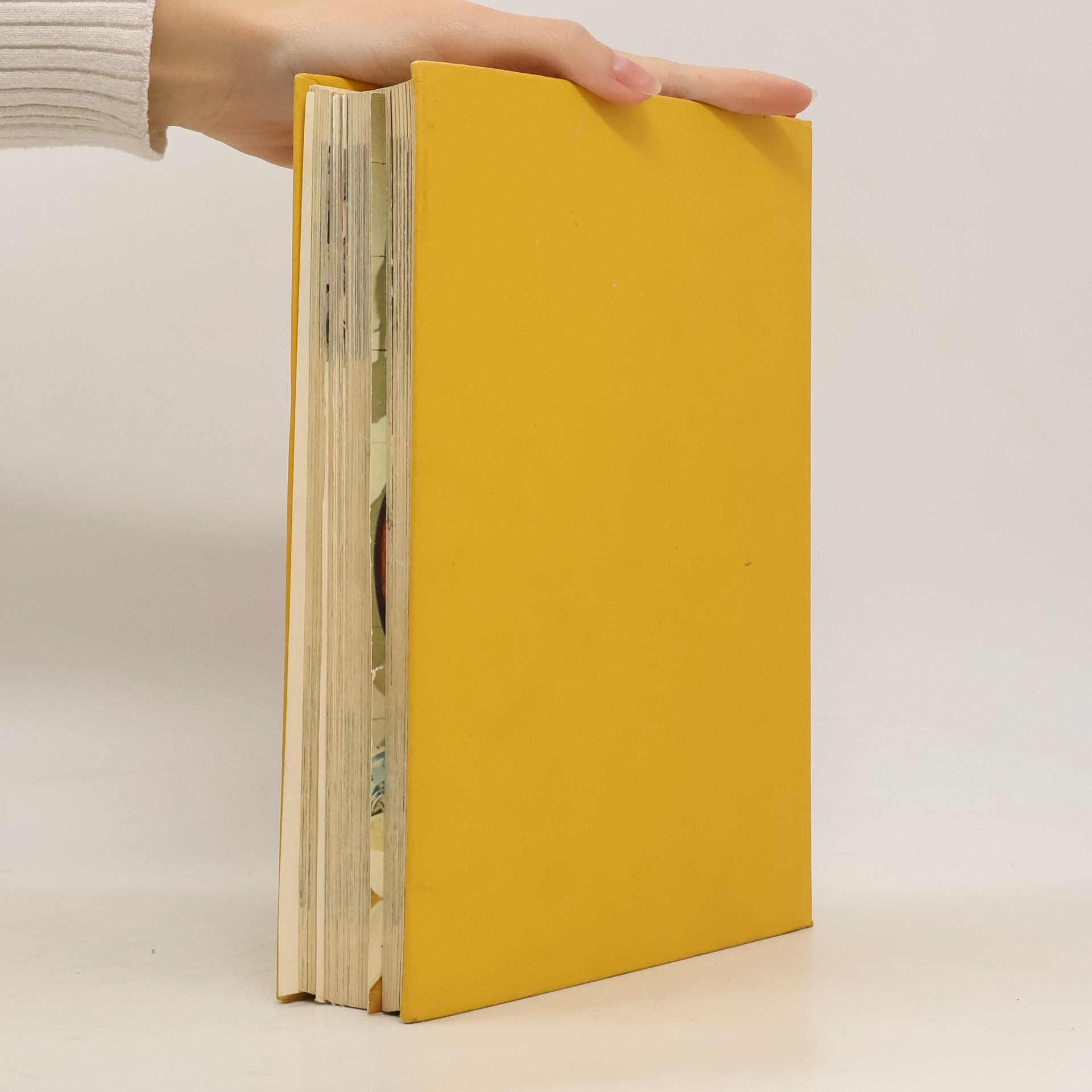 Roland Gööck Das neue große Kochbuch