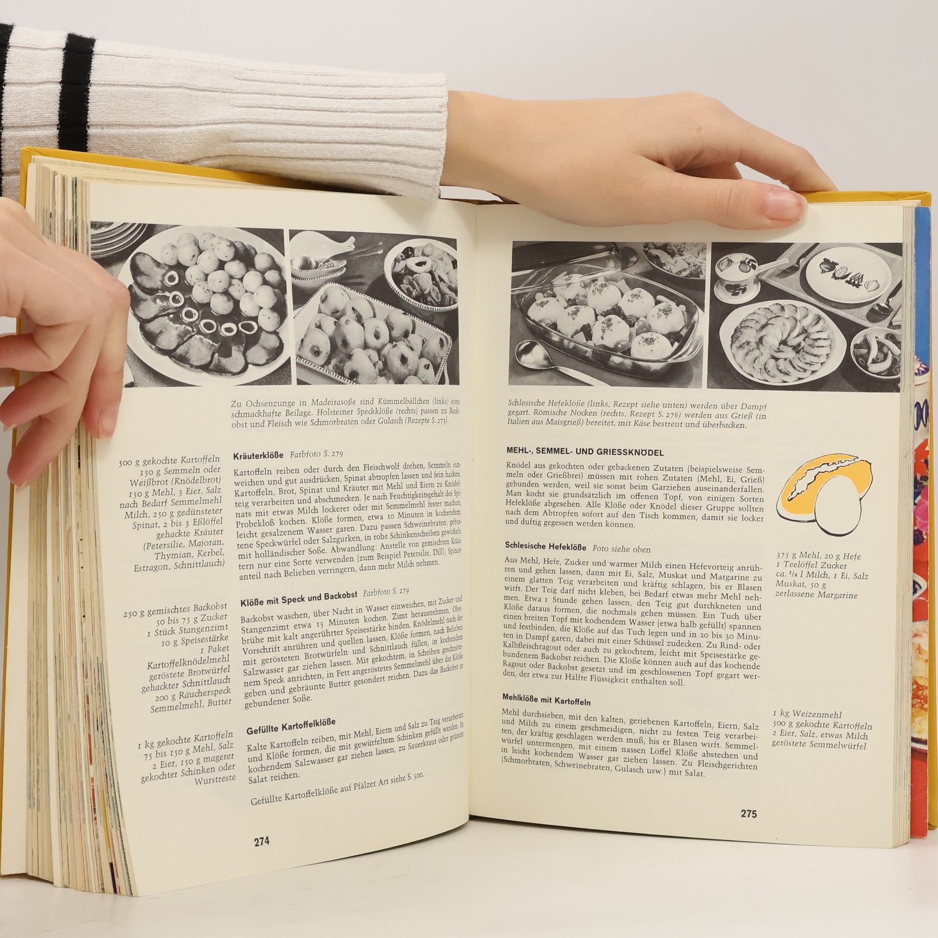Roland Gööck Das neue große Kochbuch