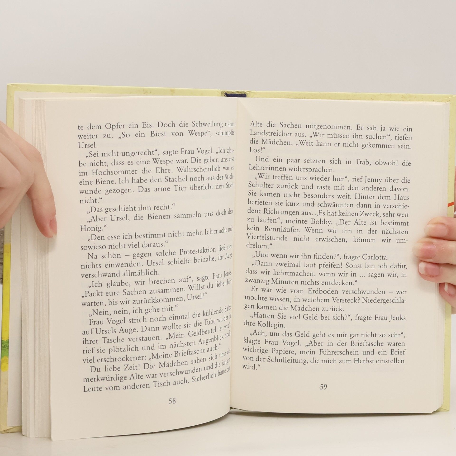 Enid Blyton Hanni und Nanni geben ein Fest