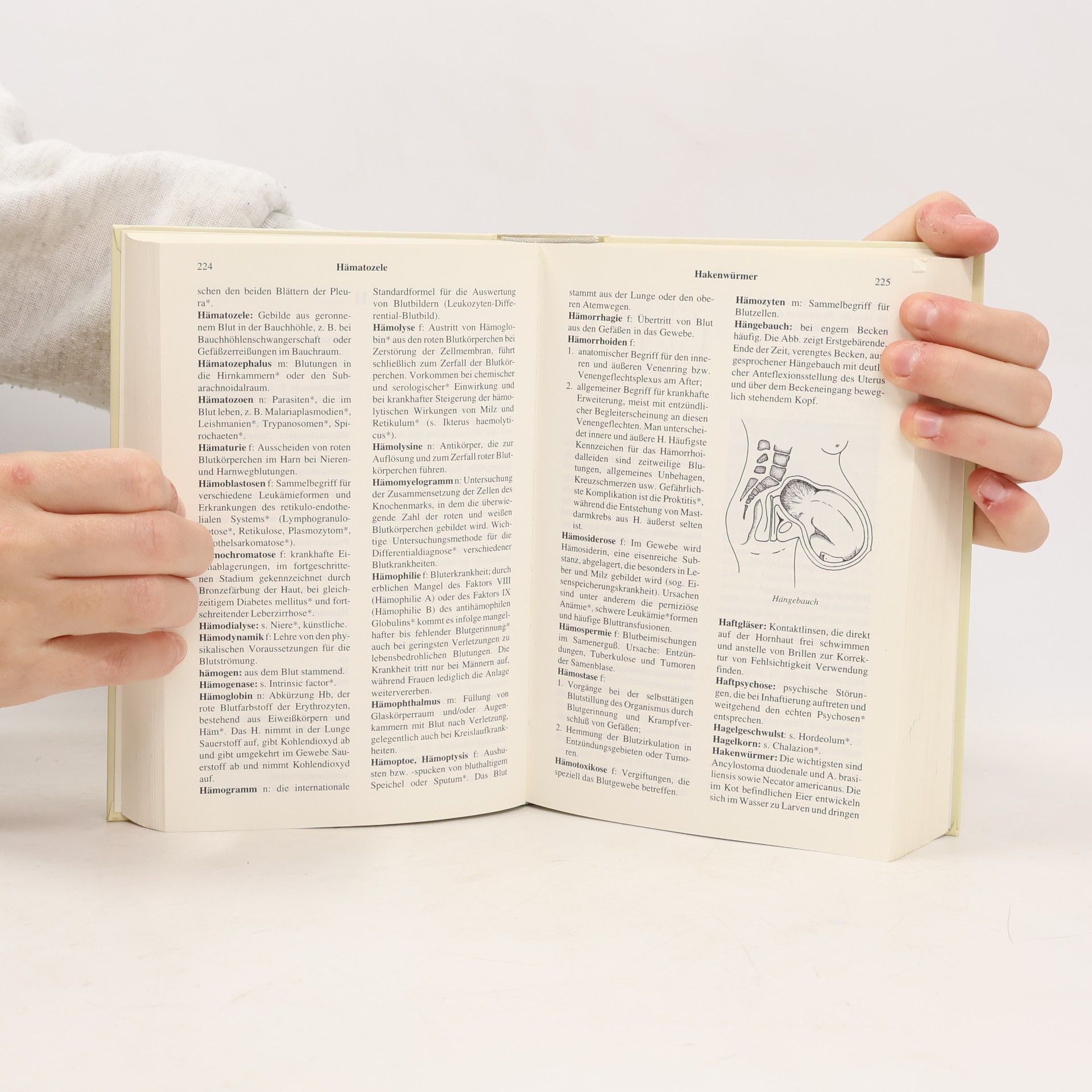 Josef Hammerschmid Gollwitzer Wörterbuch der medizinischen Fachaudrücke